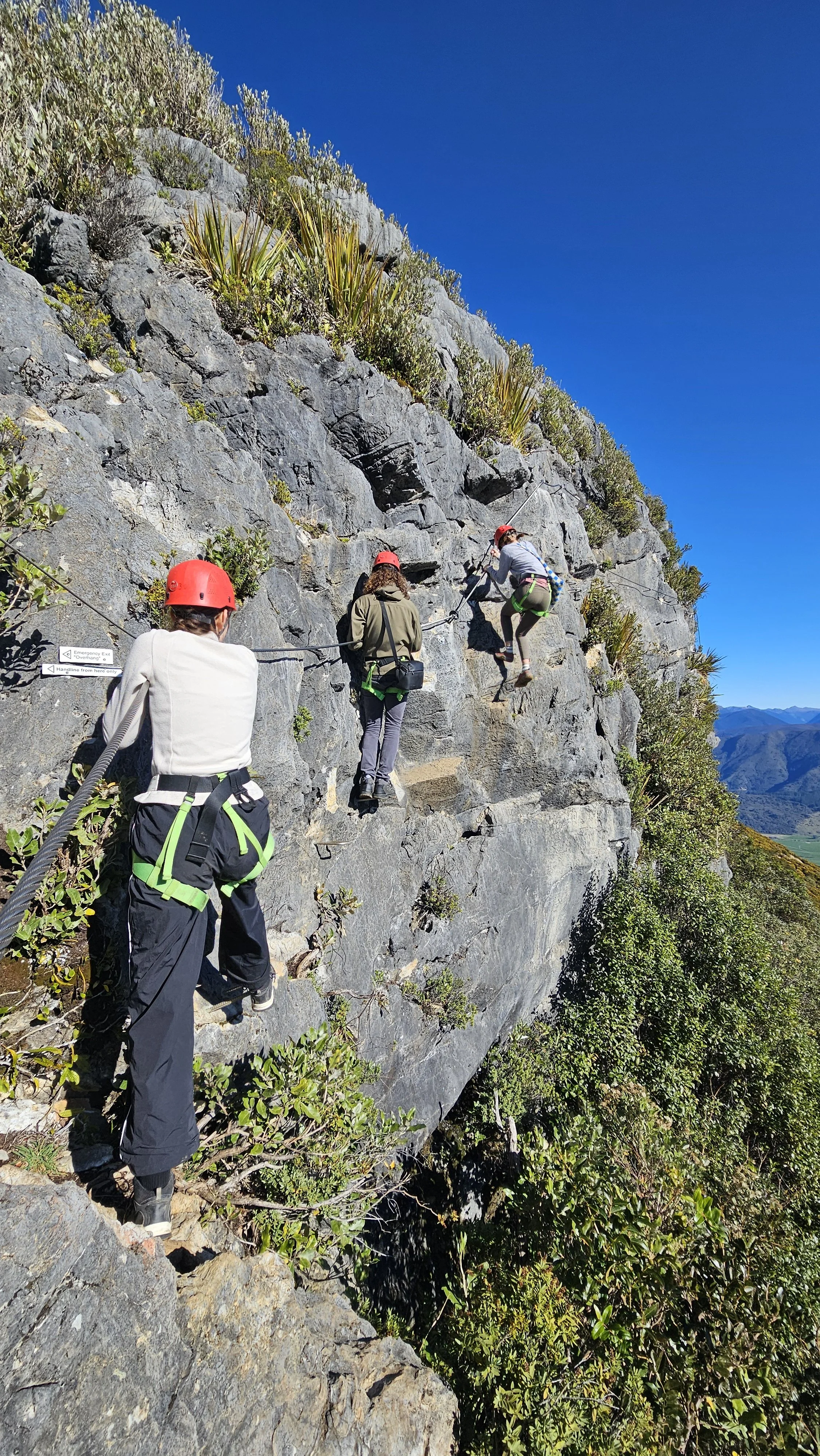The Scenic Route family exploring New Zealand
