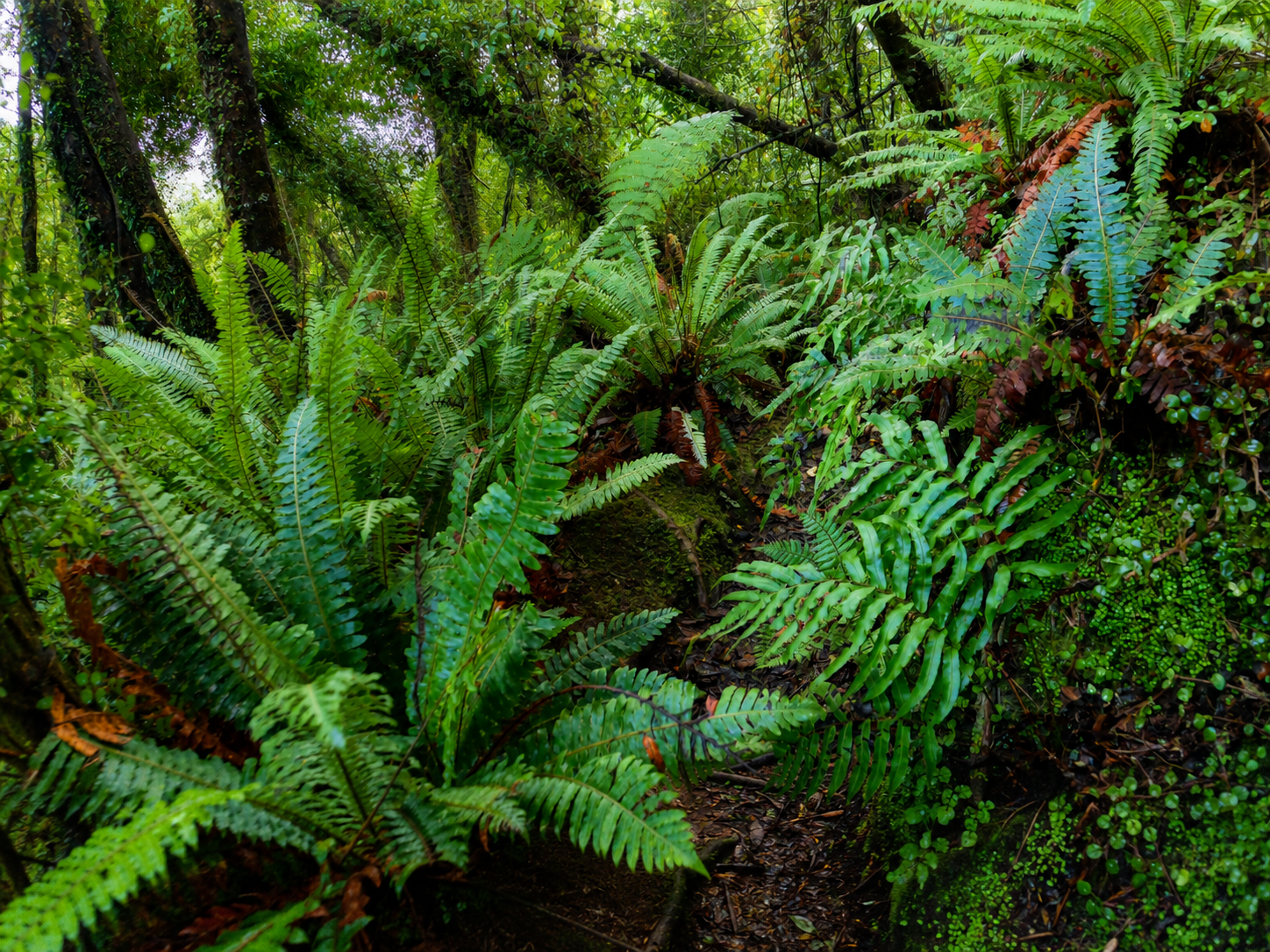 ChatGPT Image Jun 5, 2026, 11_18_01 PM (3).png