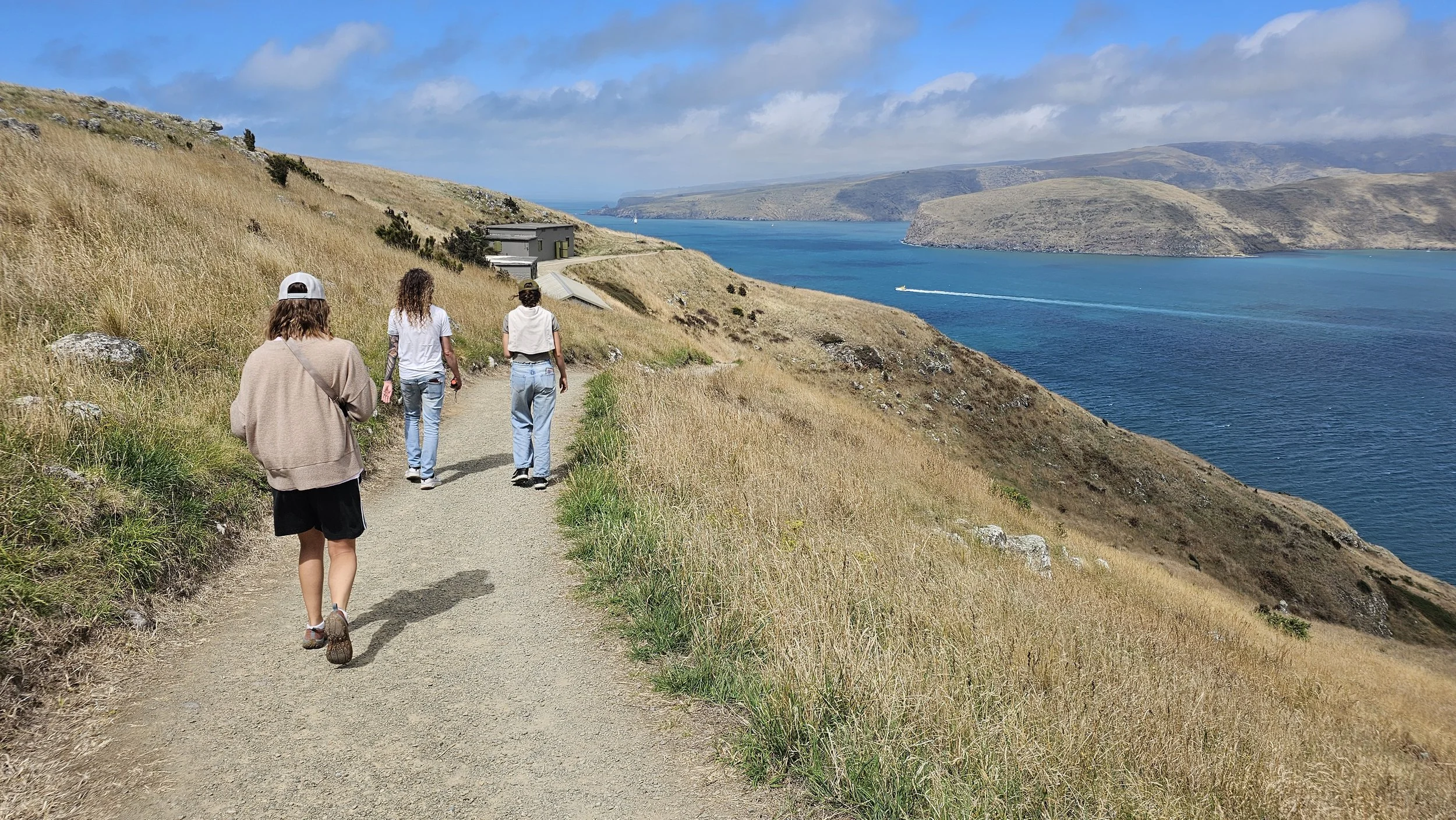 Walking toward the World War II bunkers at Godley Head