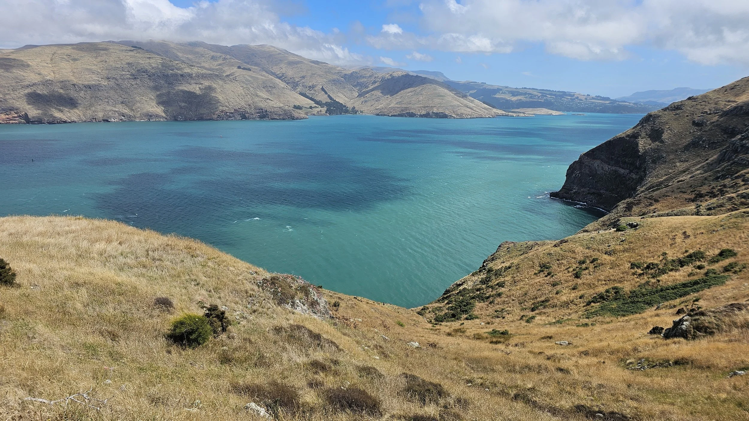Pacific Ocean view from Awaroa Godley Head