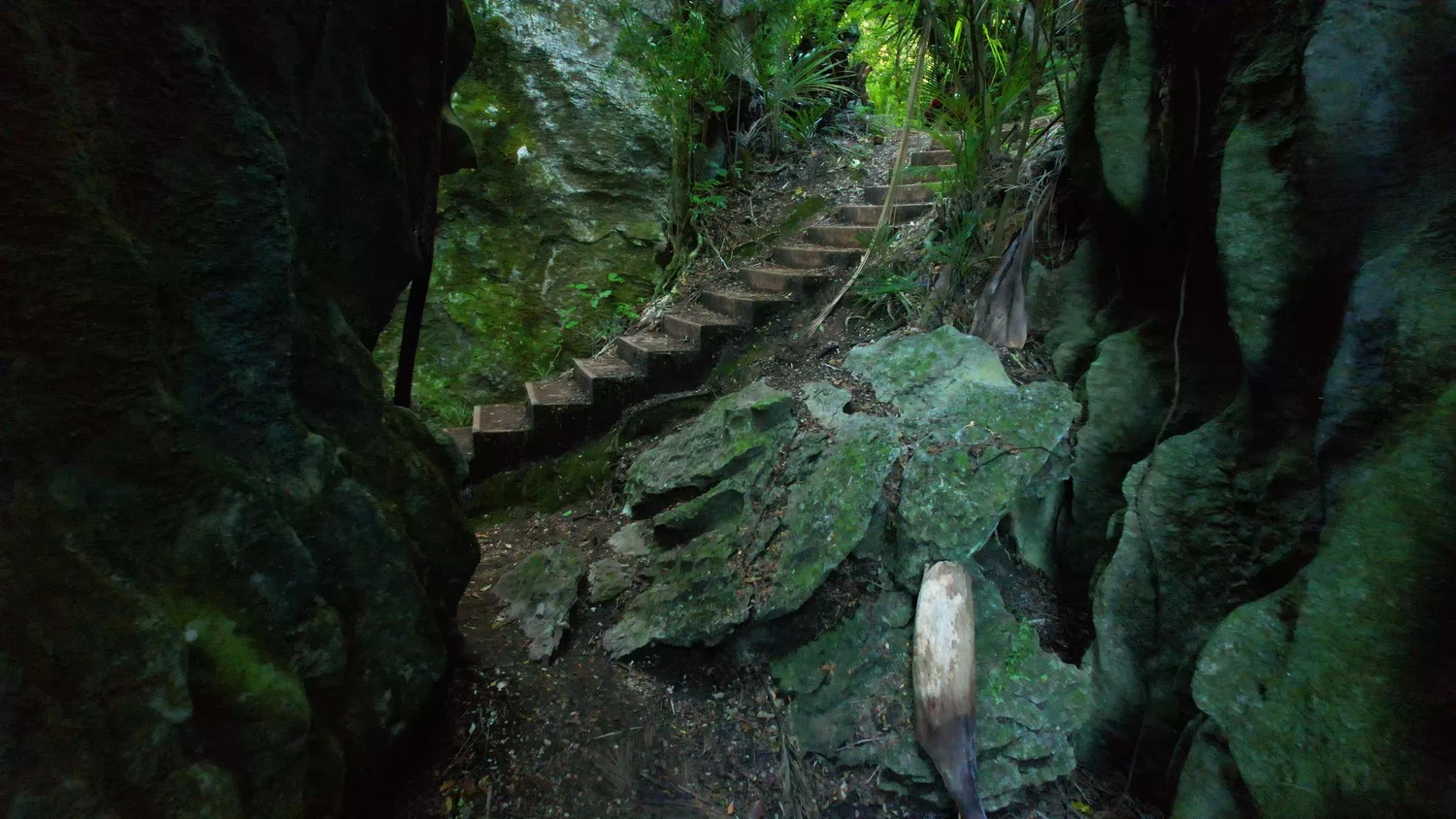 Tall limestone corridor at The Grove Scenic Reserve