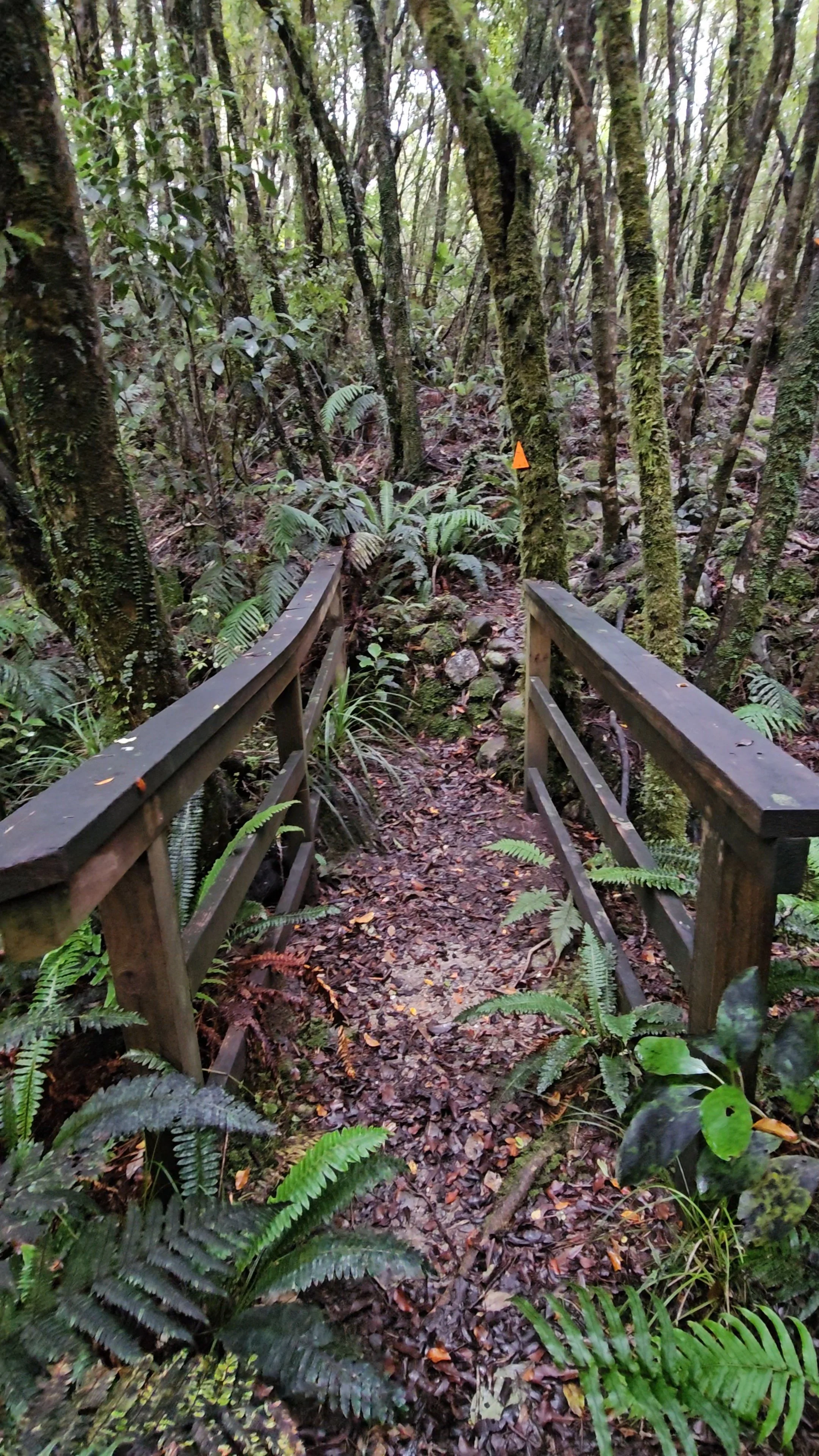 20260523_152128.jpg