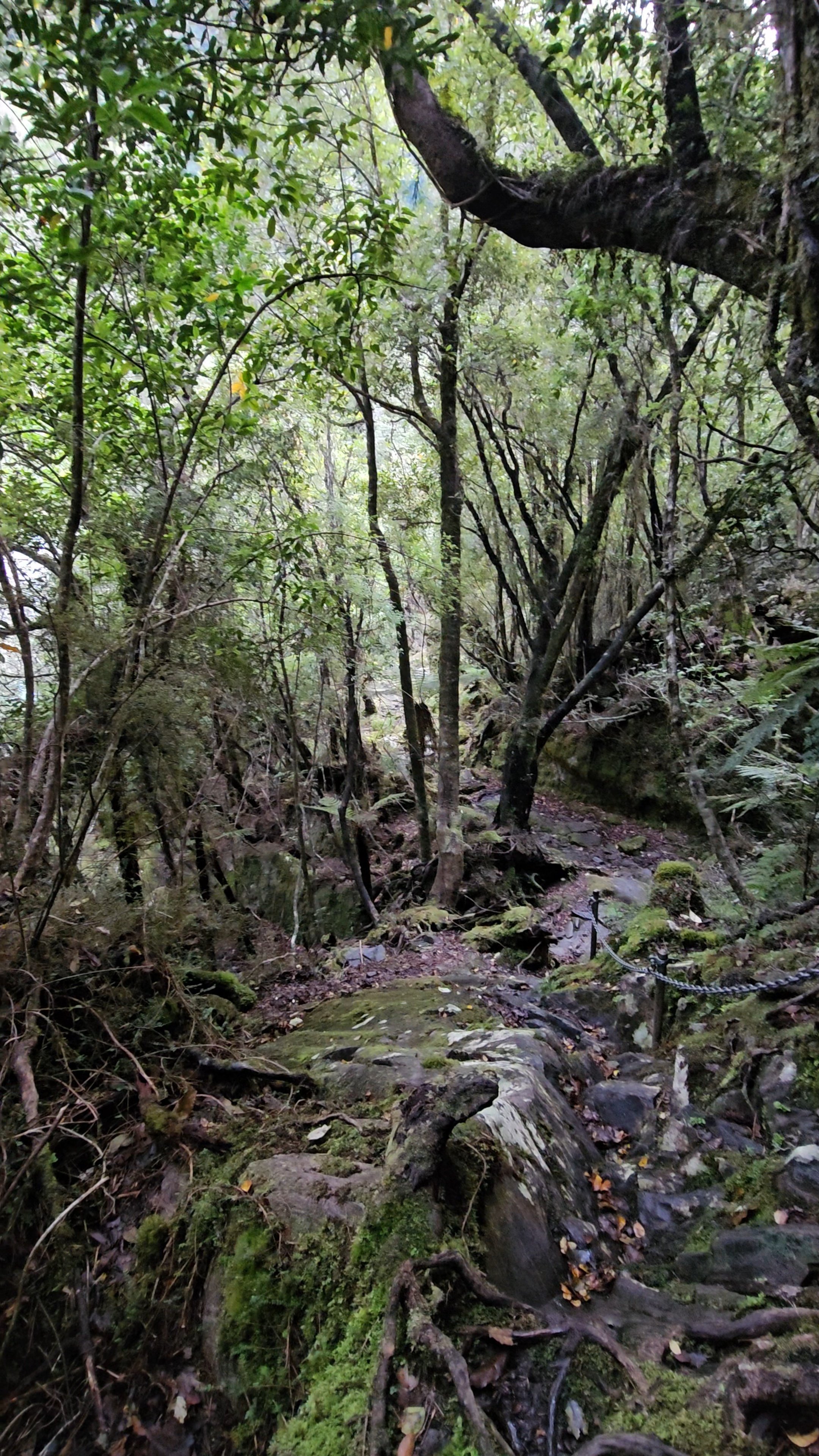 20260524_155244.jpg