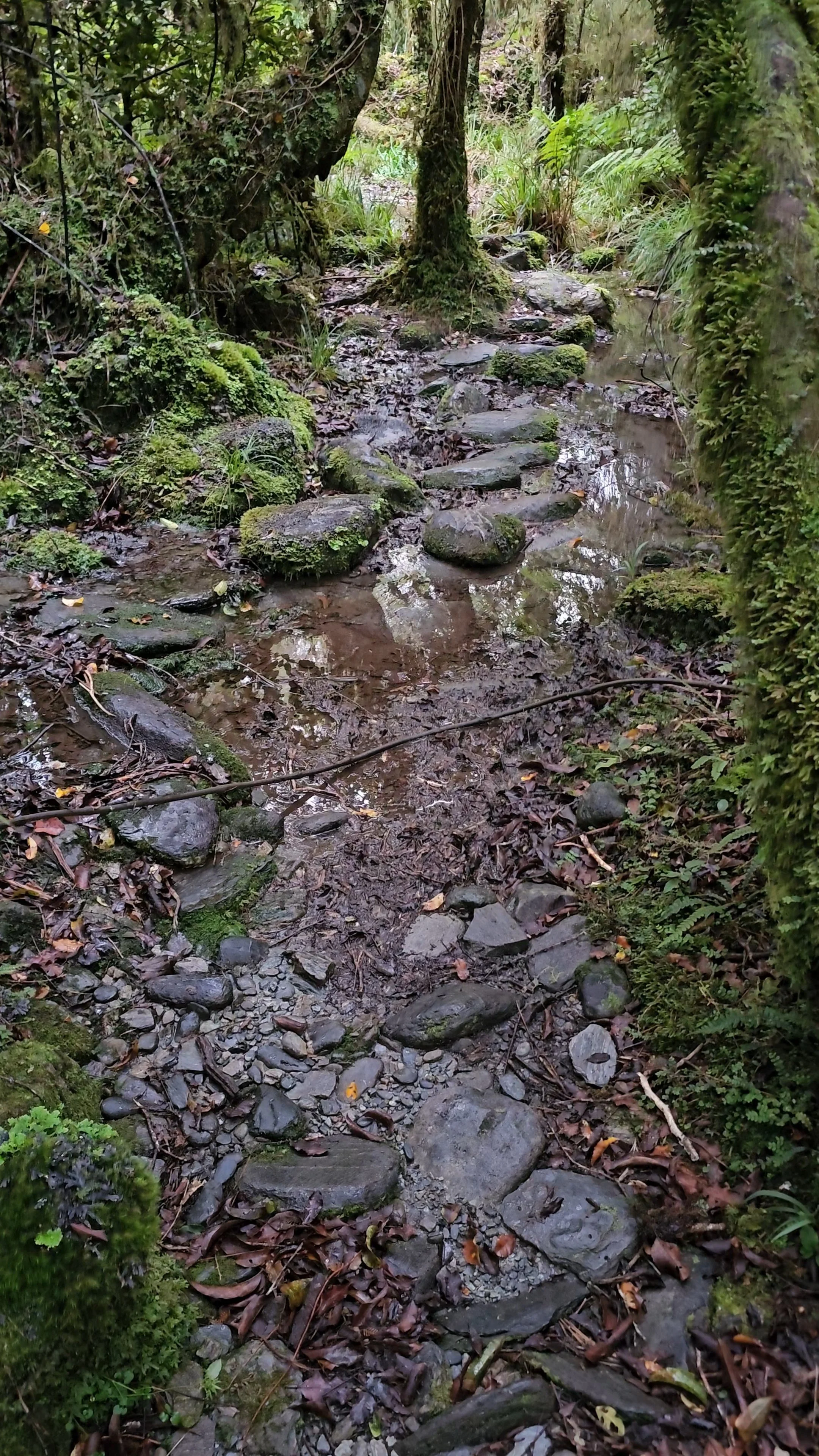 20260524_162356.jpg