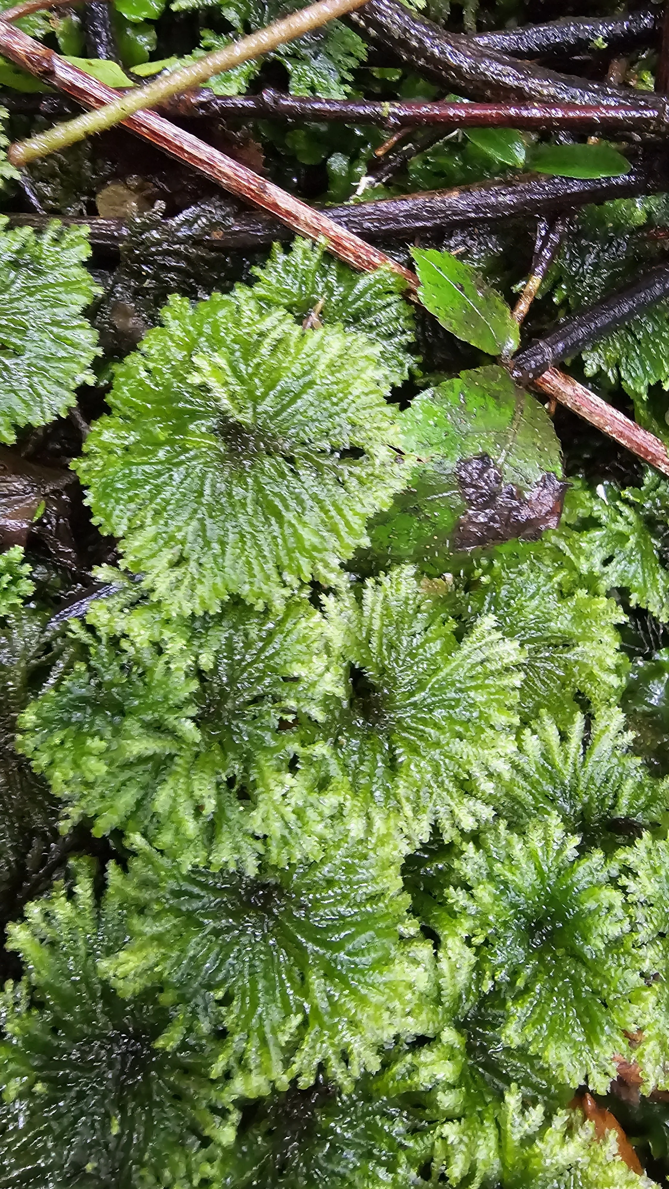 20260103_162027.jpg