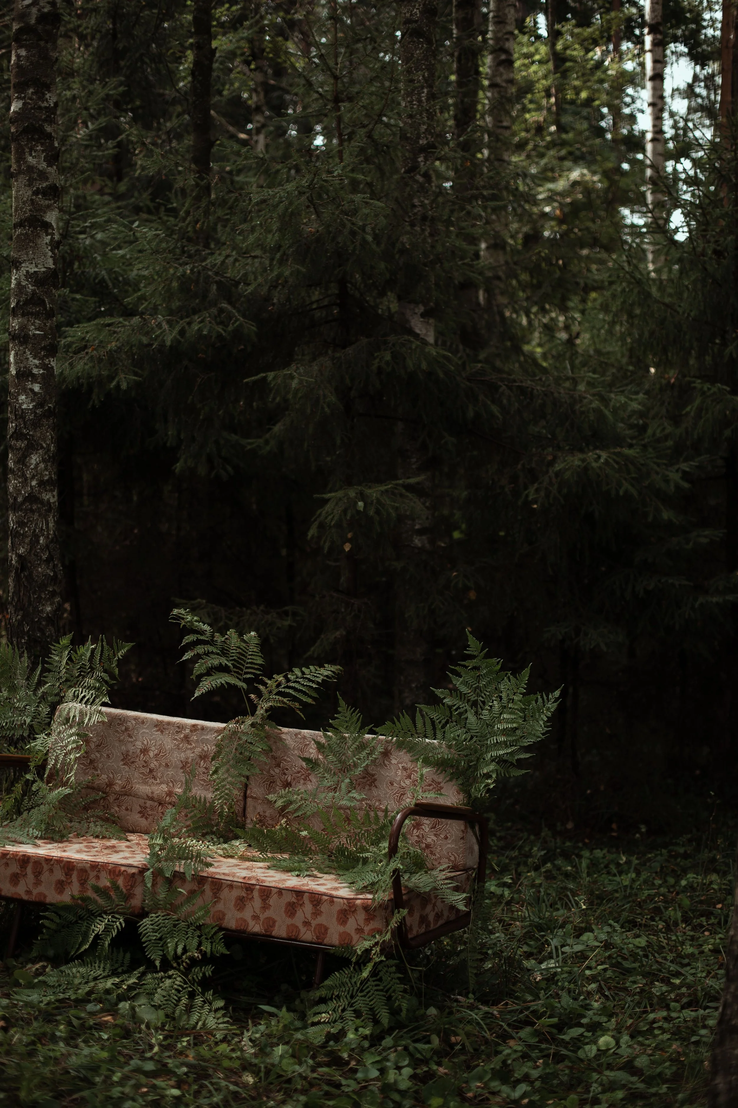 An abandoned floral-patterned sofa in a forest, covered by green leaves and fern plants, with dense trees in the background.