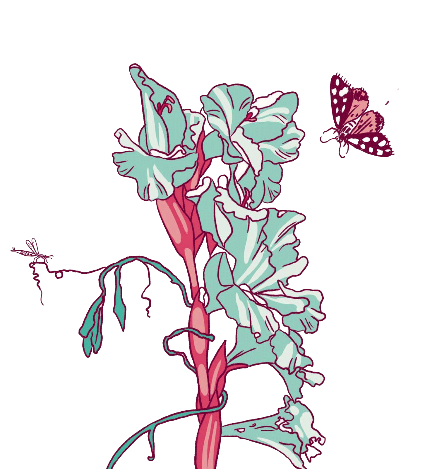 Vita con Lloyd illustrazione fiori di Iris Biasio