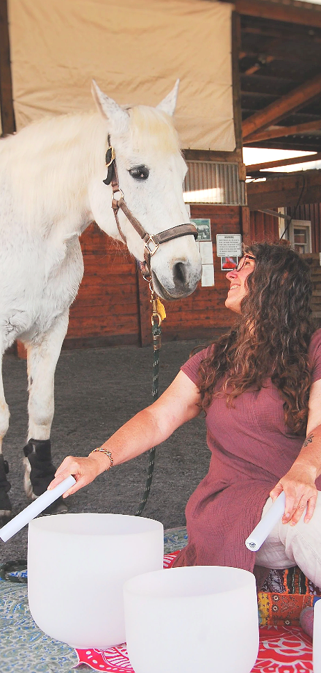 Dawn Michelle with a white horse and crystal singing bowls at Sharanam.