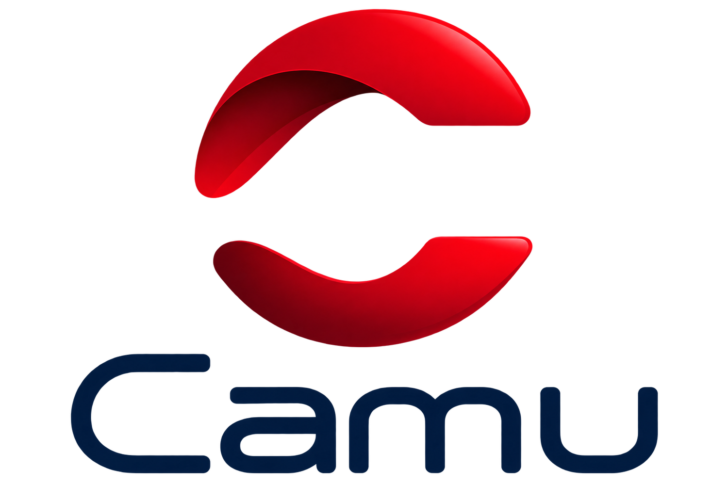 Camu Solutions
