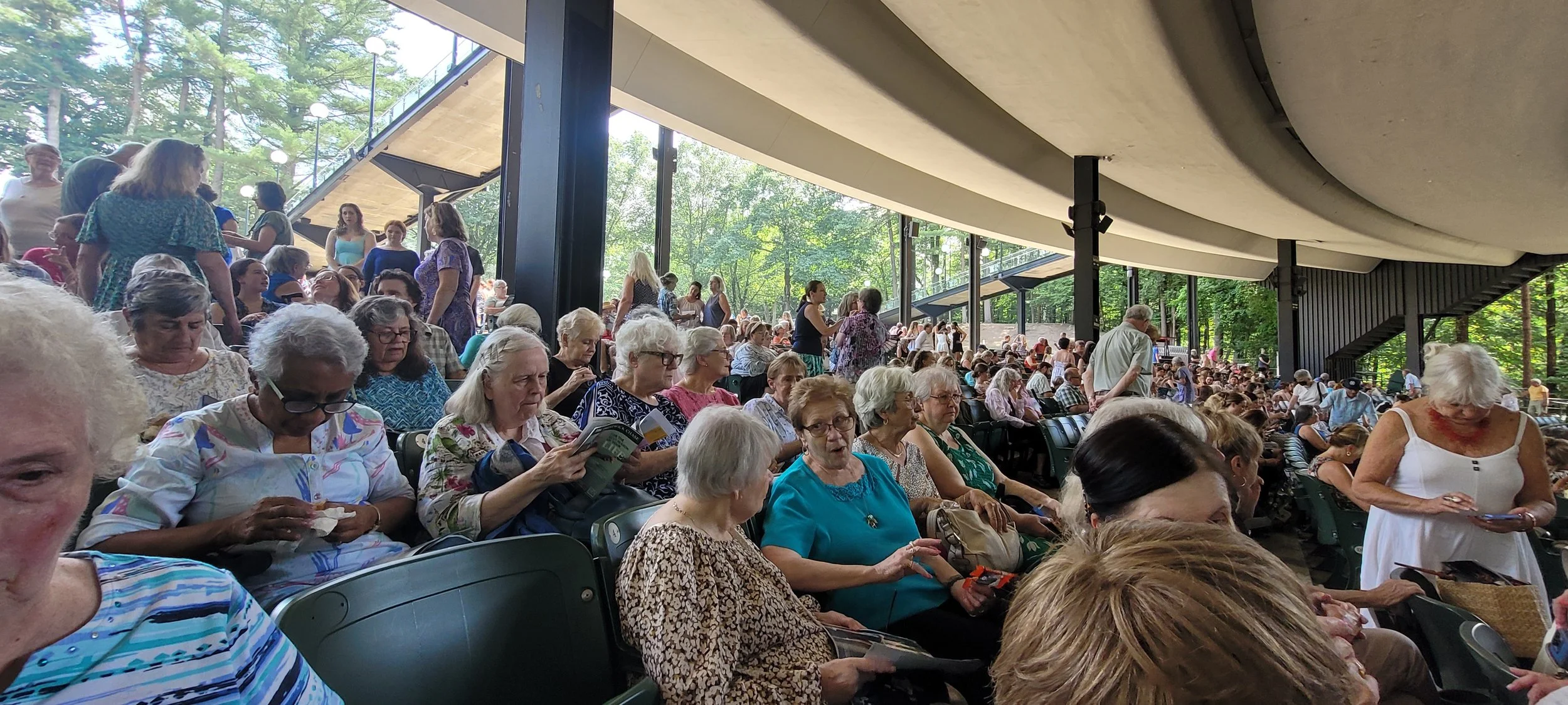 Large group of mostly elderly people sitting and some standing in an outdoor amphitheater surrounded by trees, waiting for or attending an event