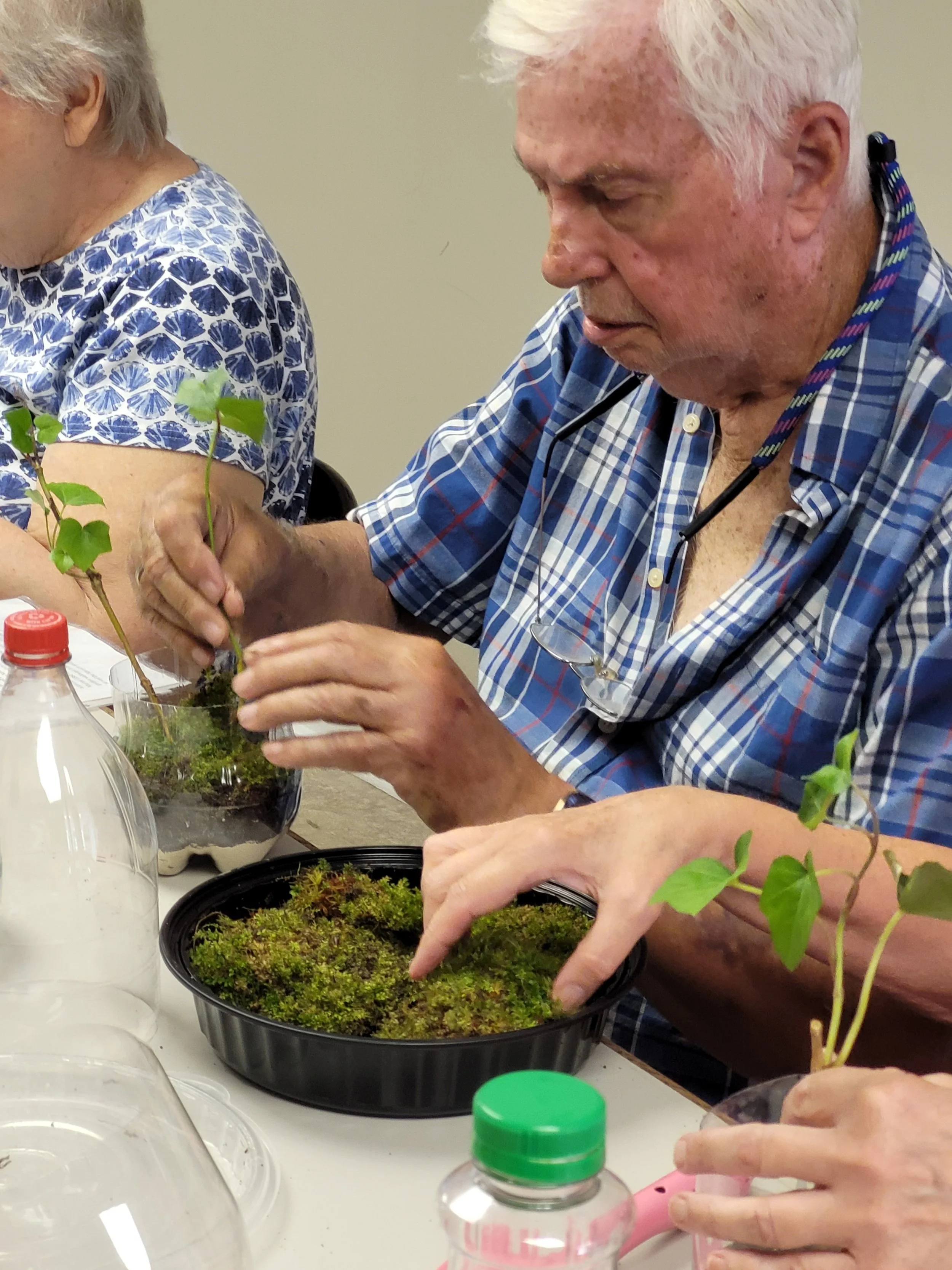 An elderly man with white hair and freckles is planting a small plant into a black pot filled with moss, seated at a table alongside another person with short gray hair wearing a blue patterned shirt.