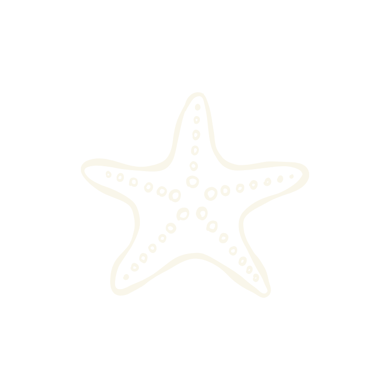 White starfish illustration on black background.
