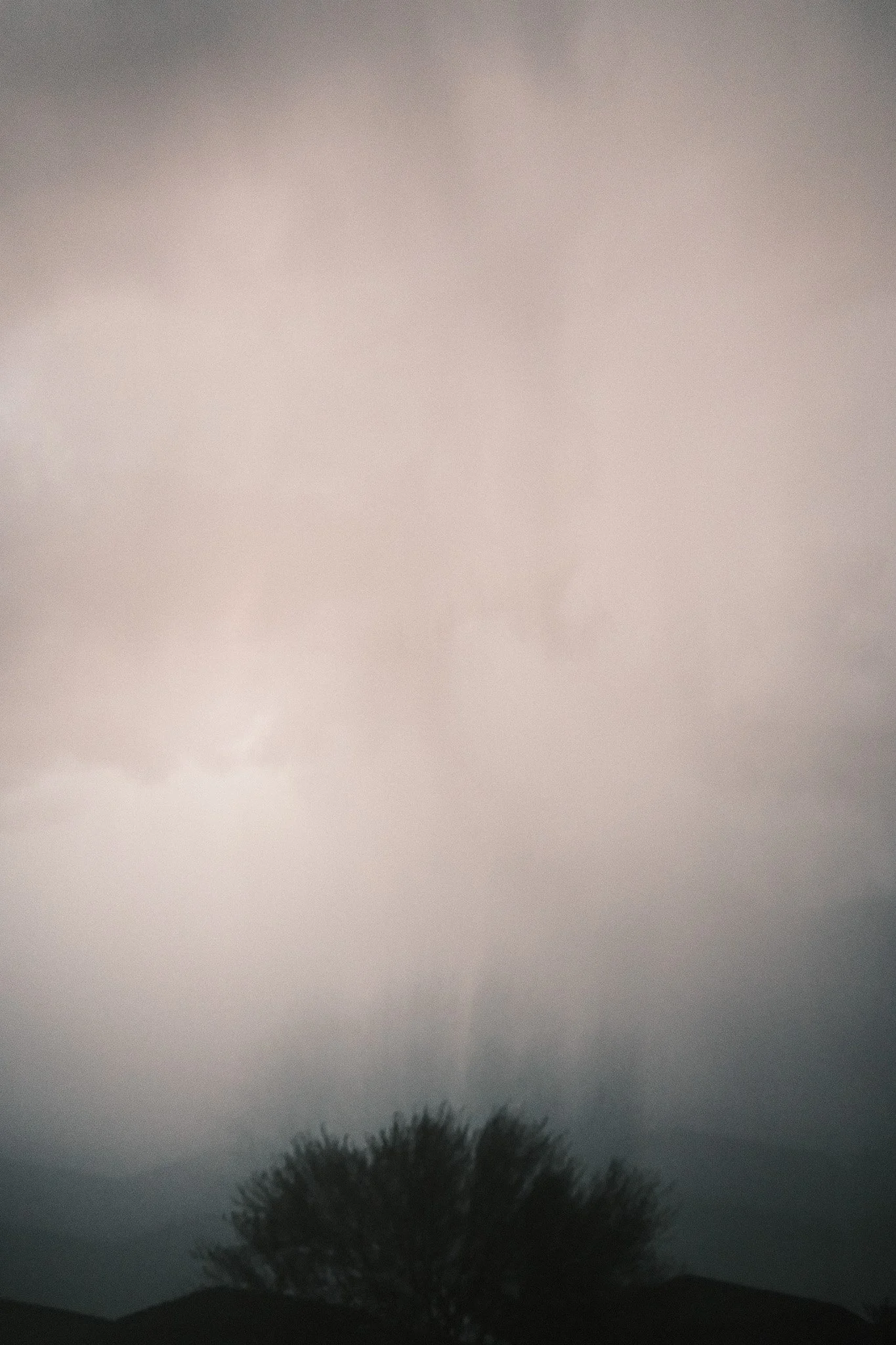 DSCF6812.jpg