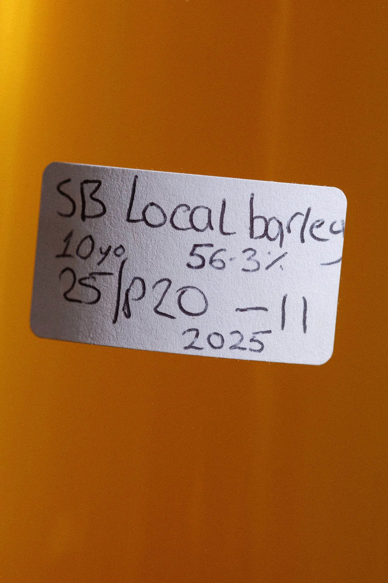 SSWC_SBANK_006.jpg
