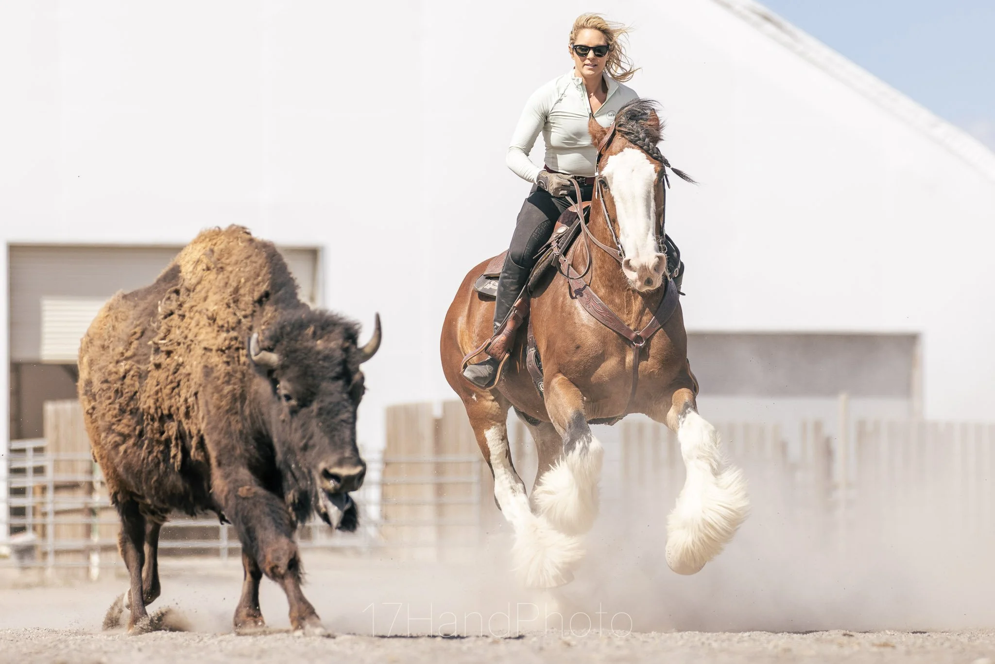 A woman riding a horse and a buffalo in an outdoor arena, with a white building in the background.