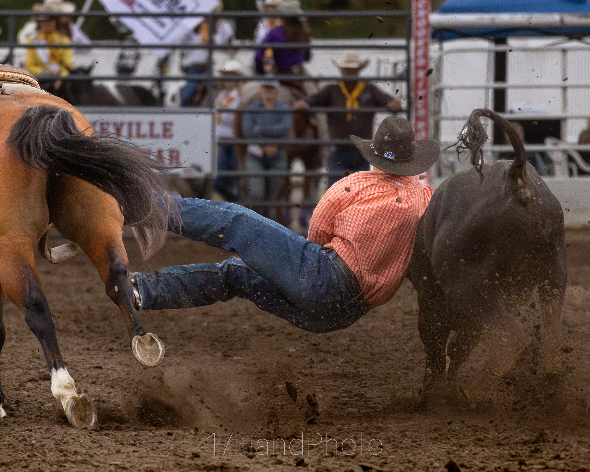 Rodeo event with a person in western attire fallen off a bucking horse, dirt flying, spectators in the background