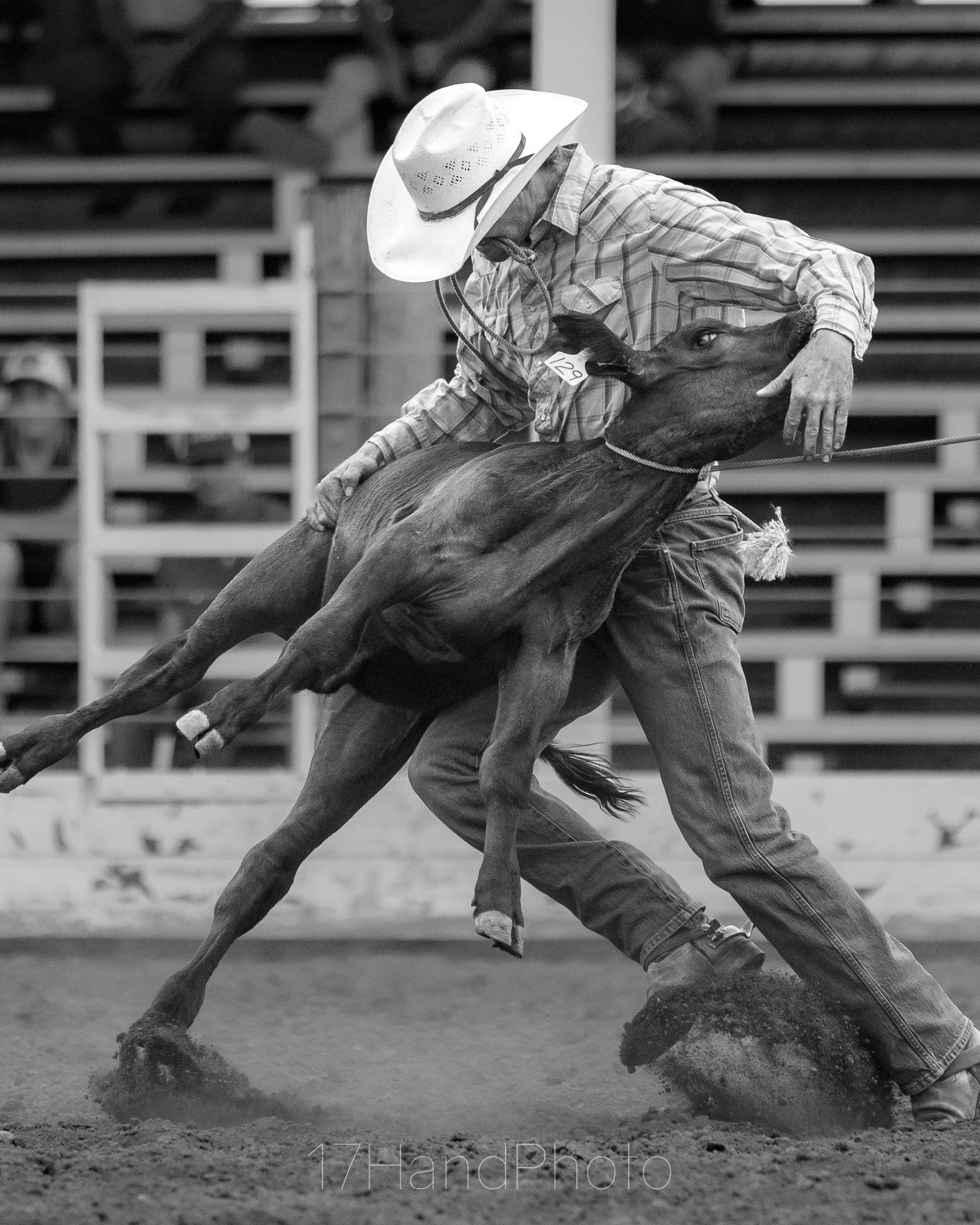A cowboy wearing a hat and plaid shirt leading a young horse with a rope in an arena with bleachers in the background.