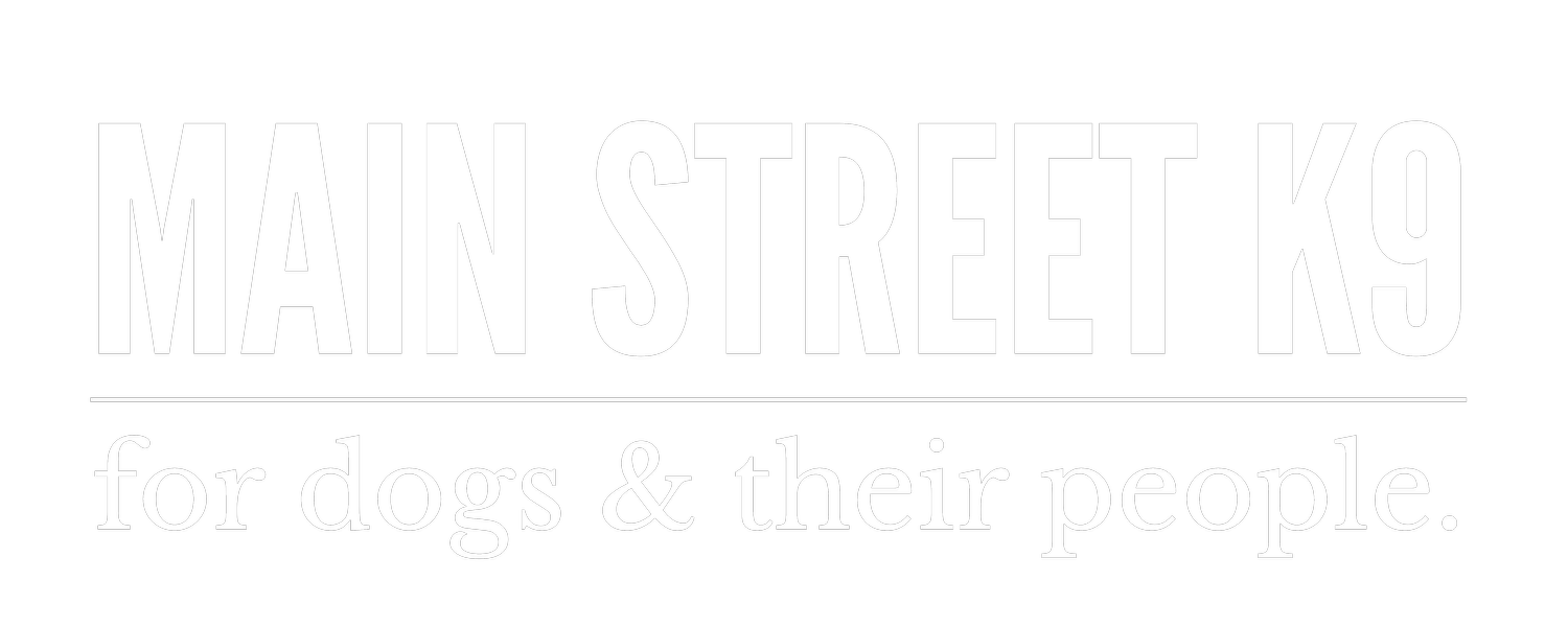 Main Street K9