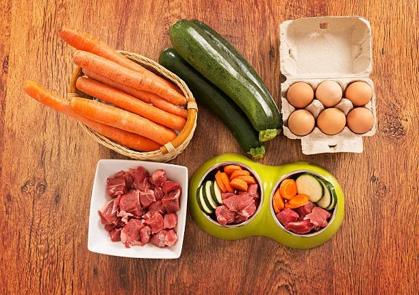 Carrots, zucchinis, eggs, raw meat, and vegetables in a pet food bowl on a wooden surface.
