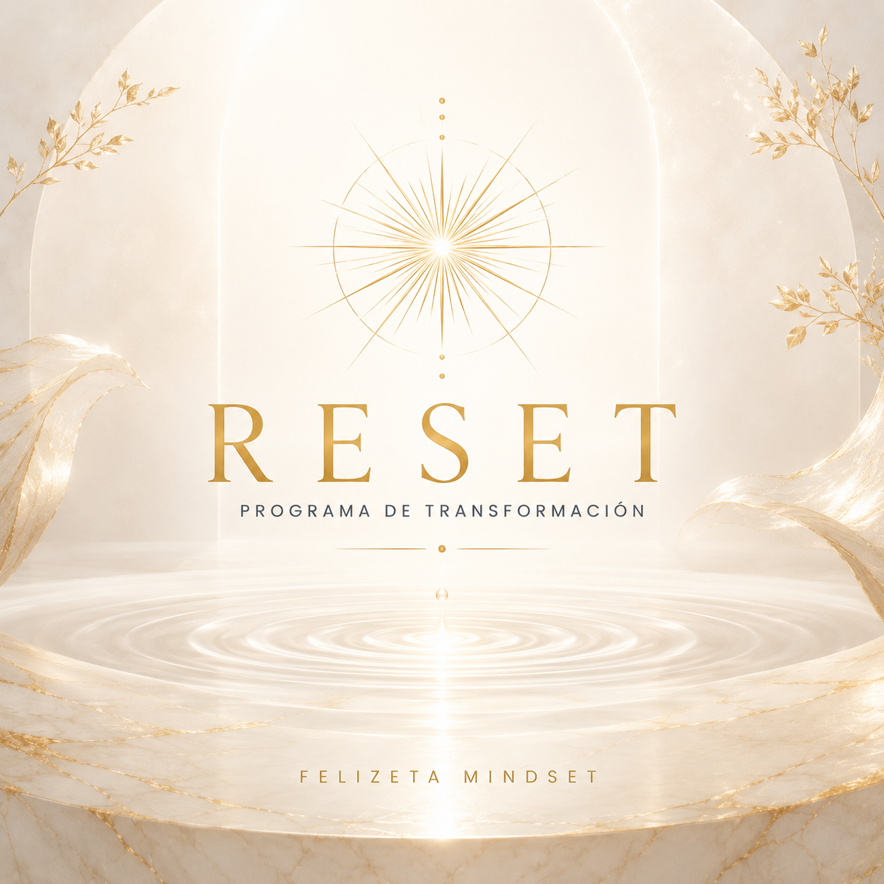 PROGRAMA RESET