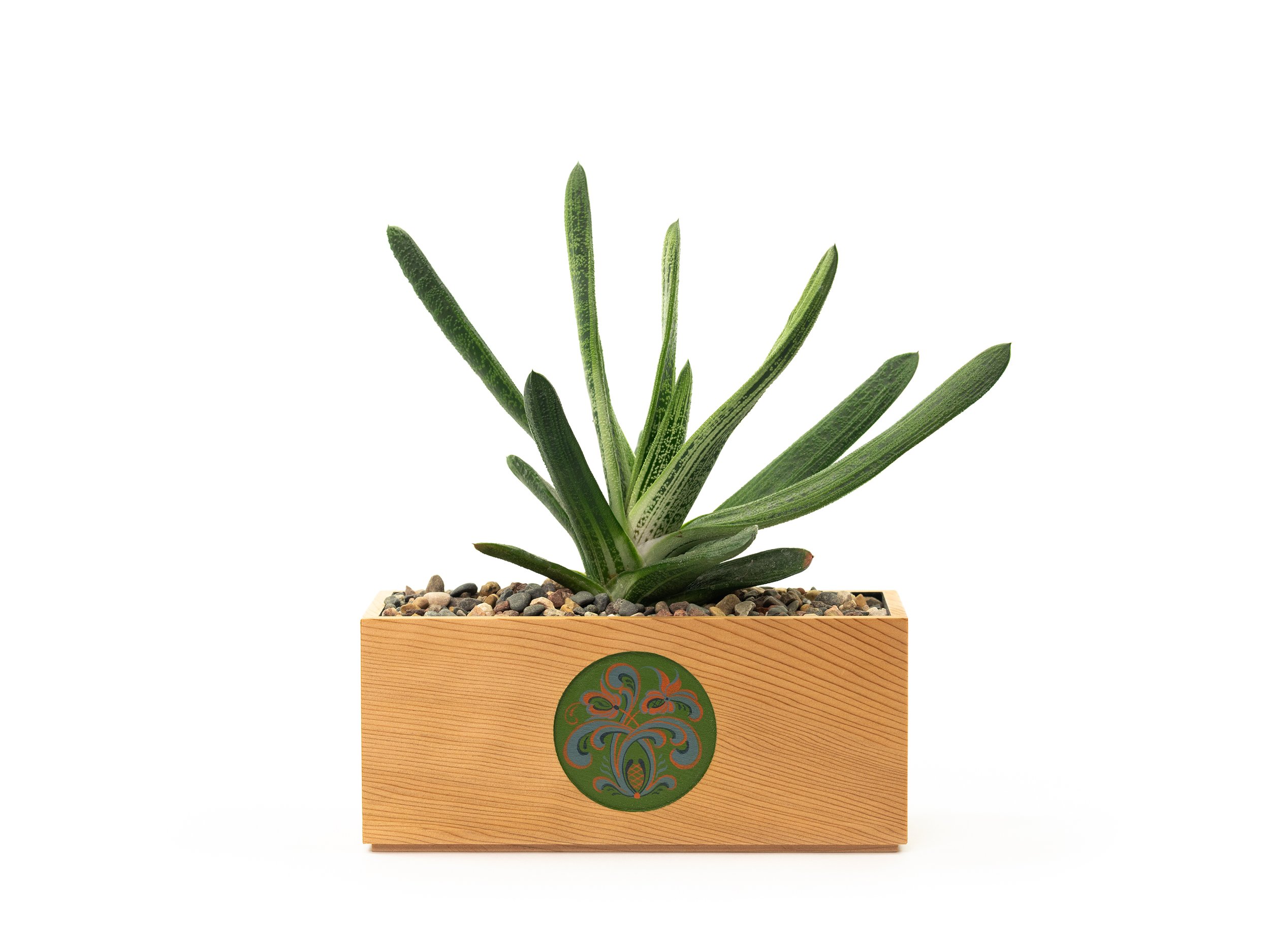 Boxes with Plants_0001_Boxes shoot 1 20250728-34.png.jpg