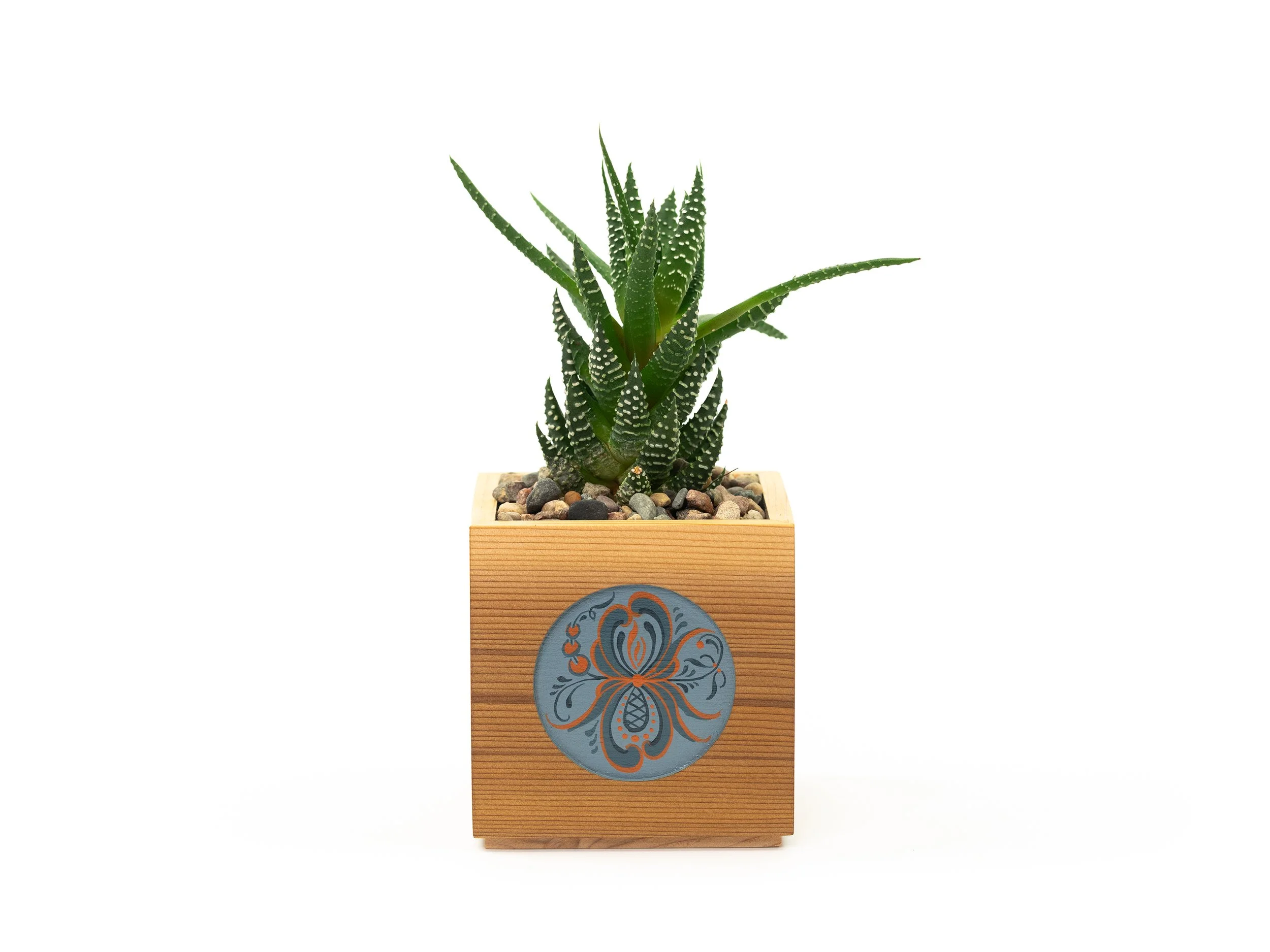 Boxes with Plants_0003_Boxes shoot 1 20250728-35.png.jpg