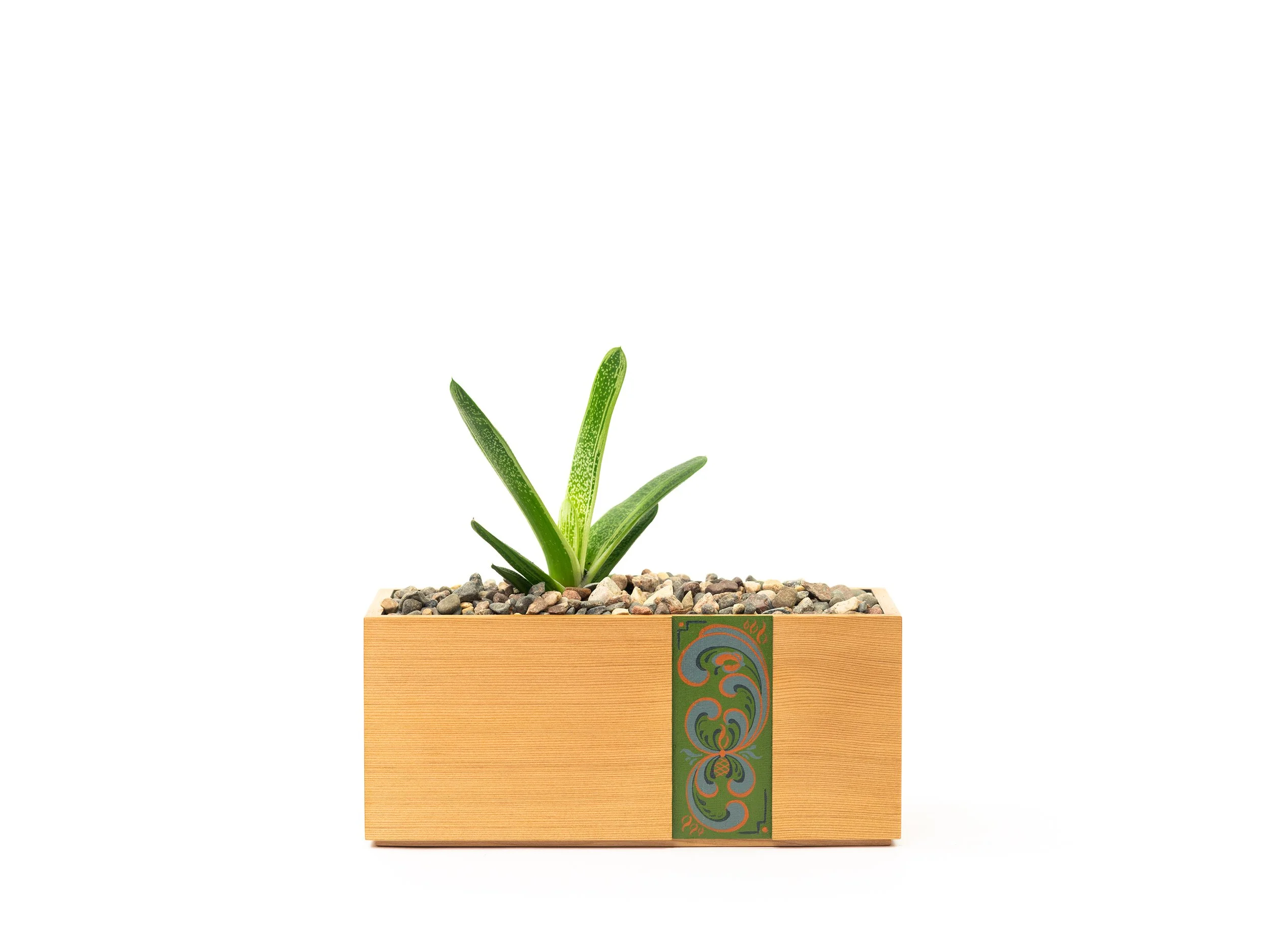 Boxes with Plants_0007_Layer 1.jpg