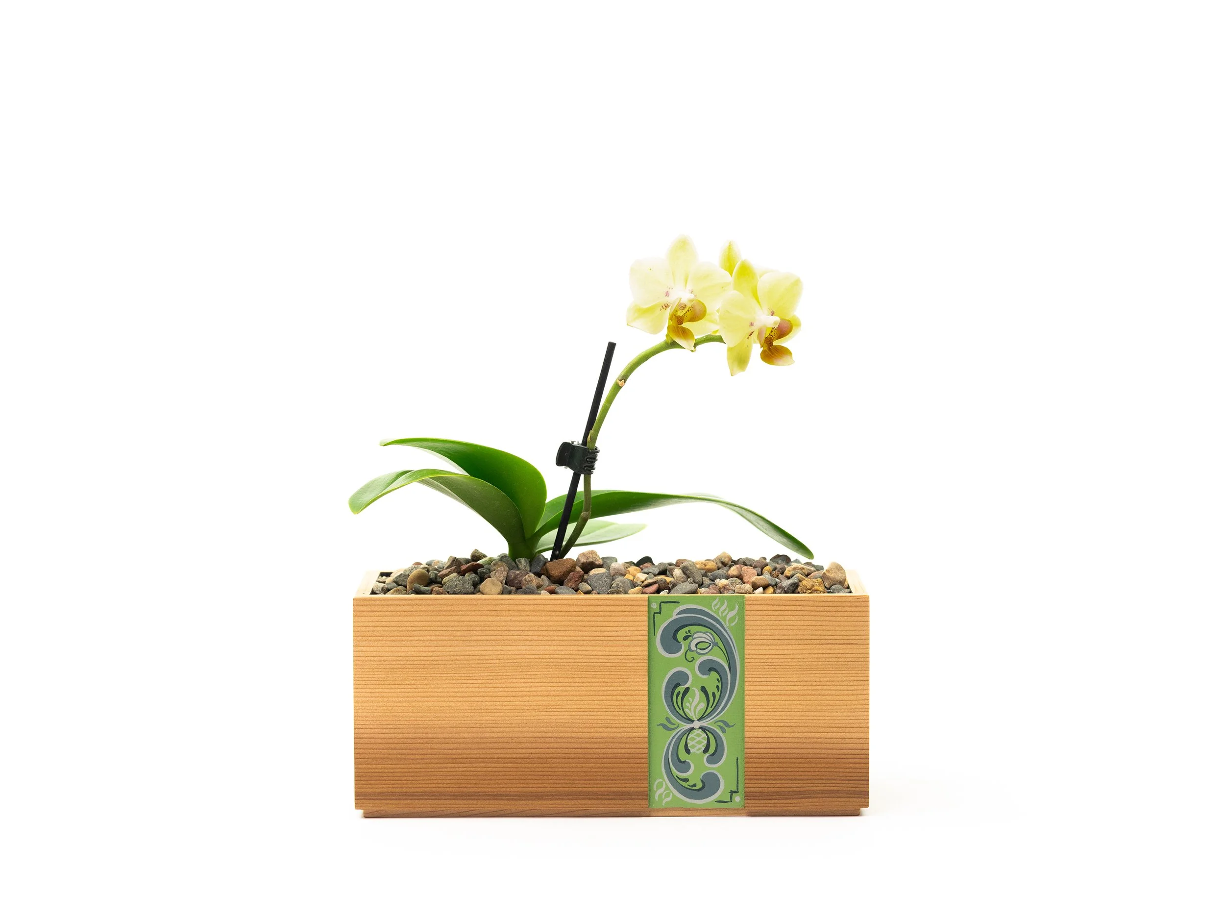Large Desk Planter
