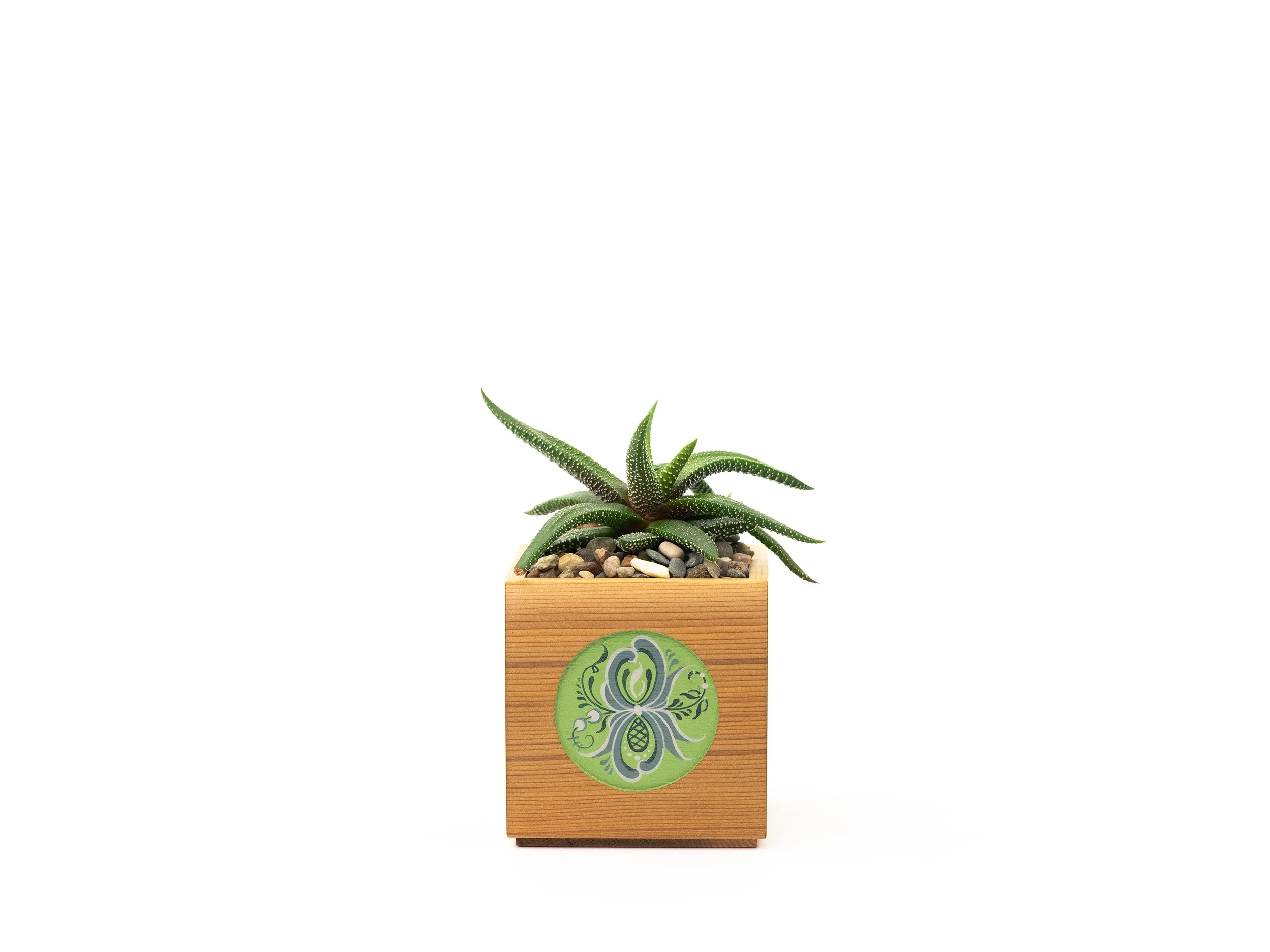 Boxes with Plants_0005_Boxes shoot 1 20250728-39.png.jpg