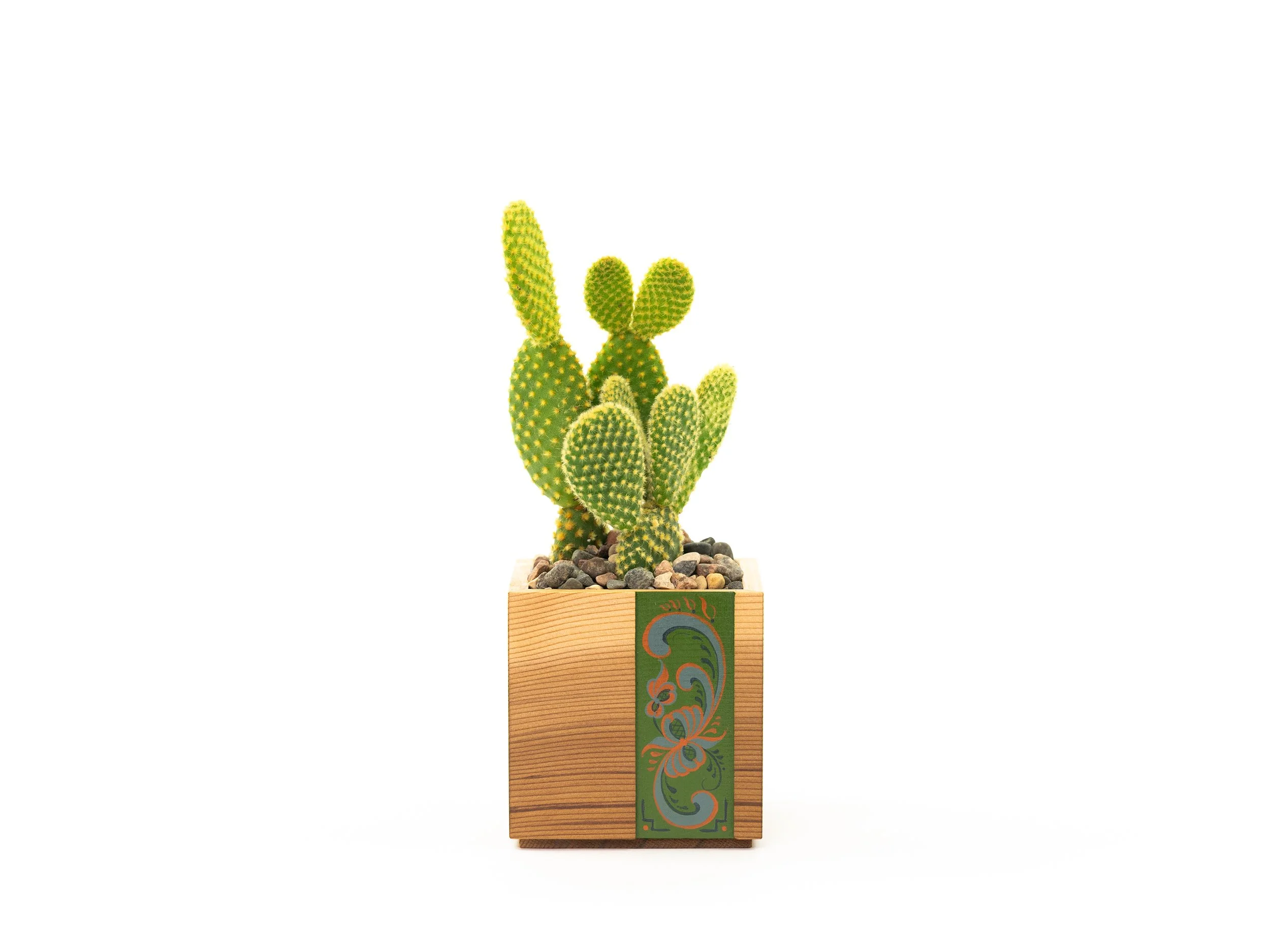Small Desk Planter
