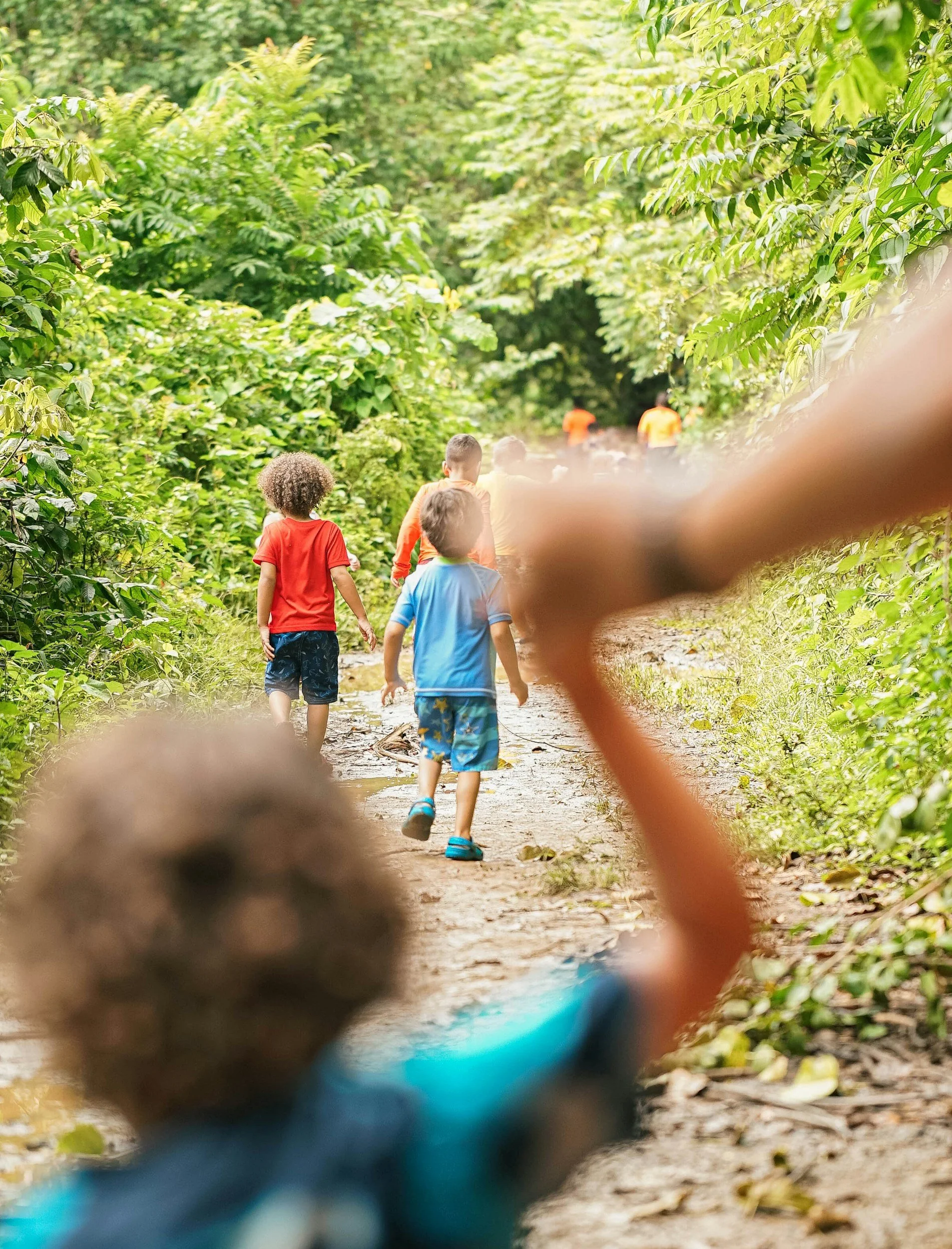 Children walking on a dirt trail through a lush green forest during daytime.