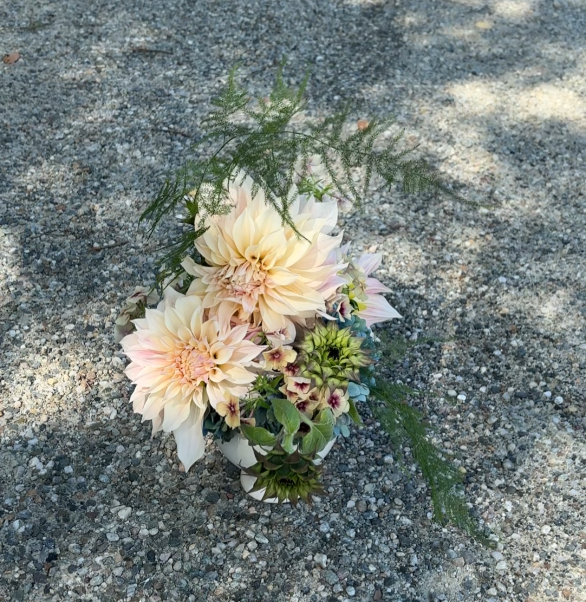 IMG_3368.png