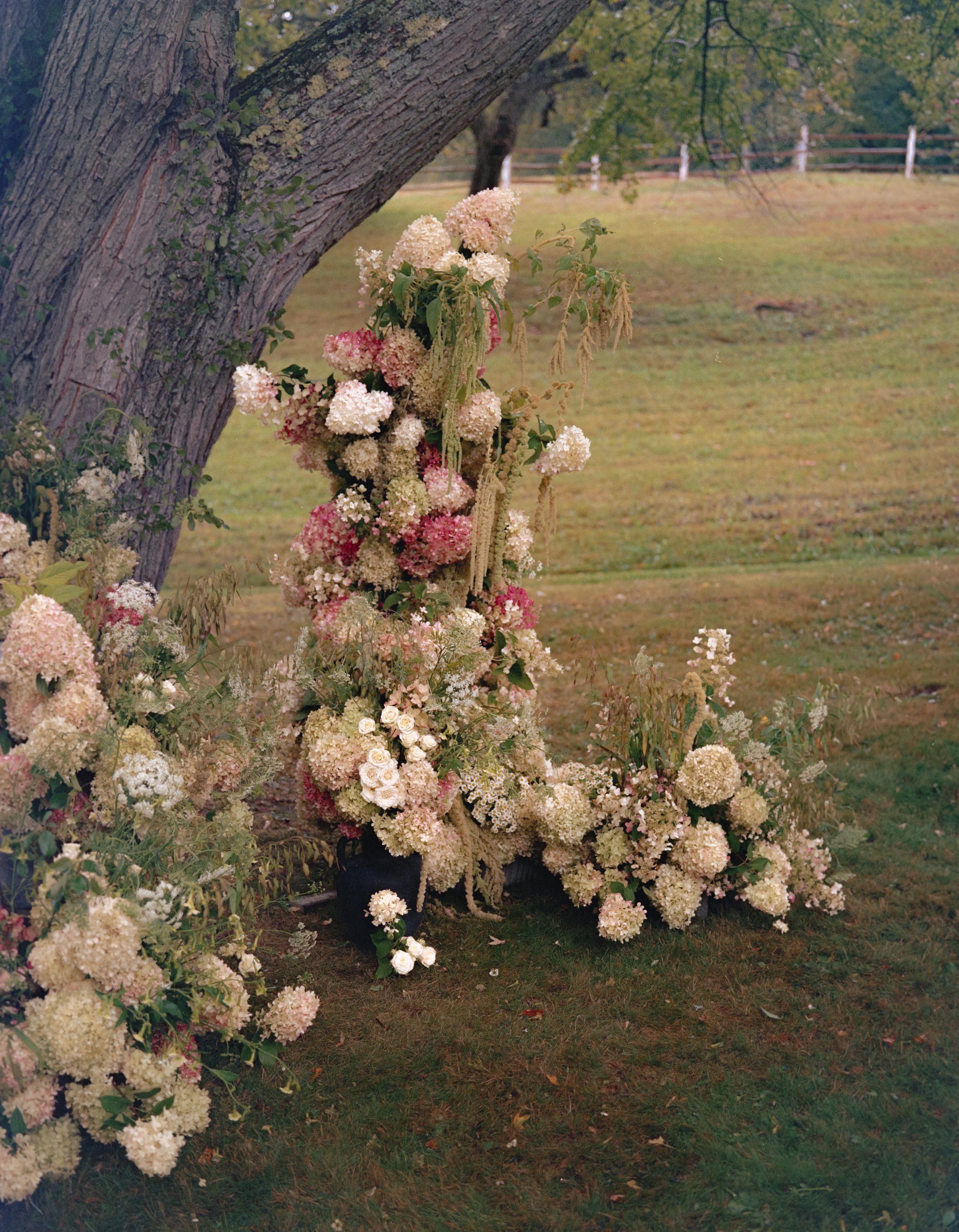 ElizabethJasonWedding-245.jpg