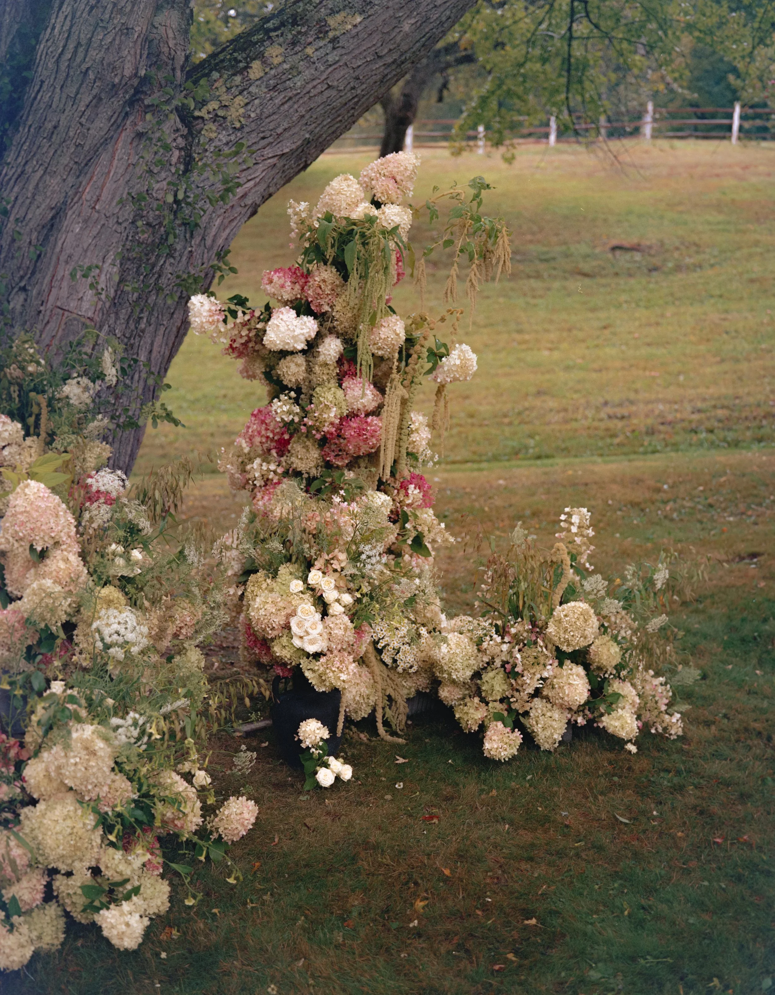 ElizabethJasonWedding-245.jpg
