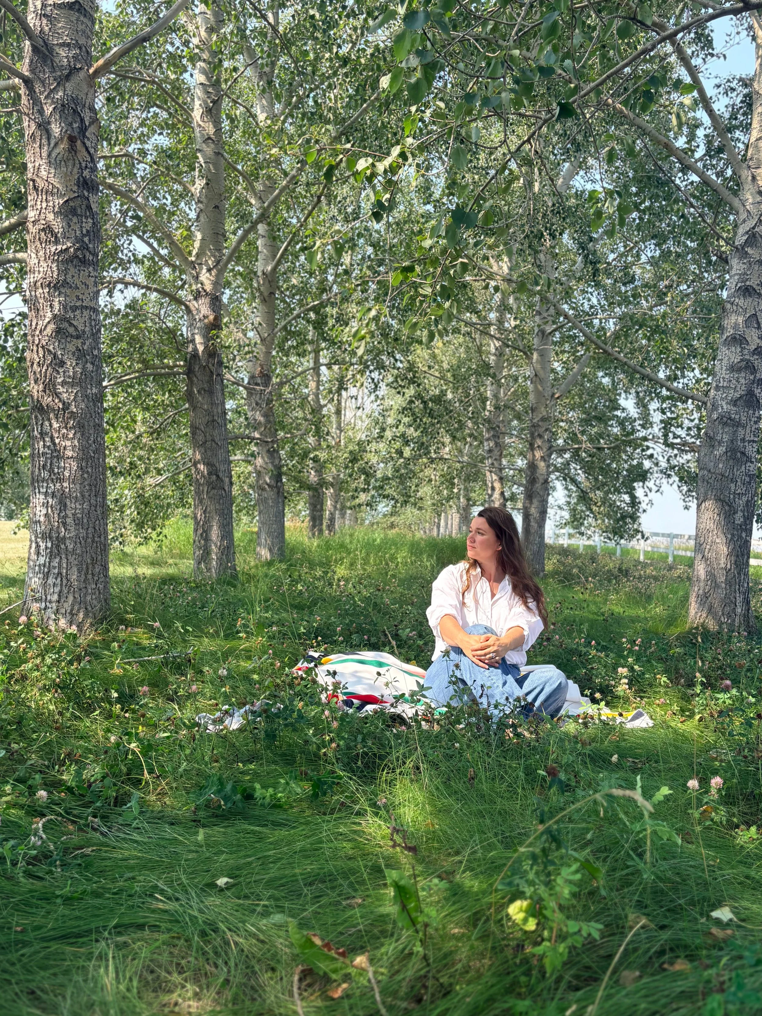 Sunlight filtering through a peaceful grove of trees and tall grass in the Alberta foothills.