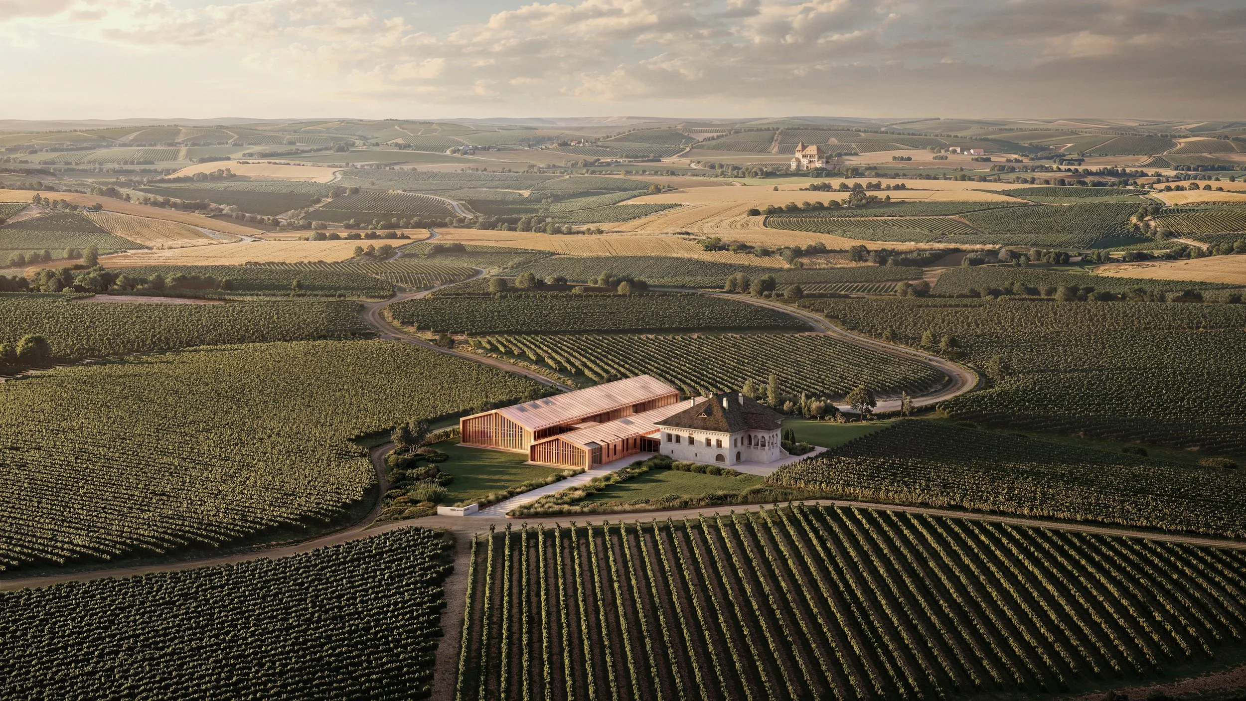 contemporary-winery-vineyard-aerial-visualization.jpg