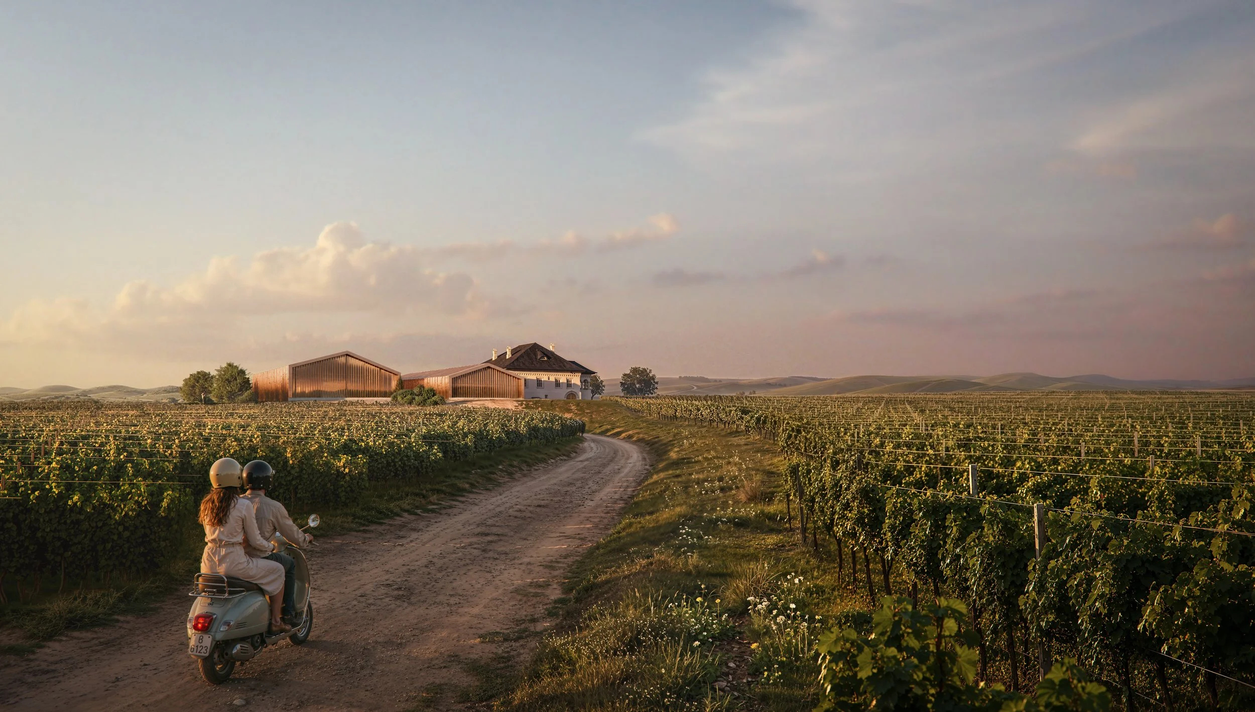 vineyard-winery-country-road-sunset-visualization.jpg
