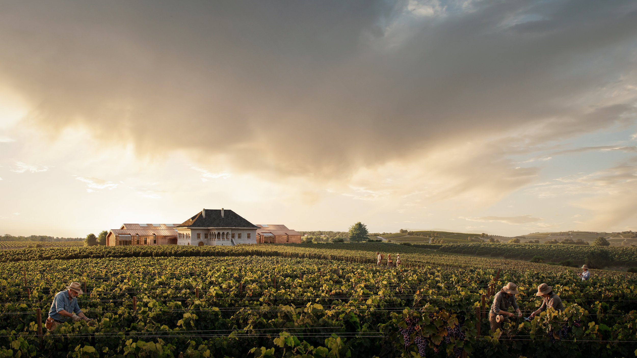 luxury-vineyard-estate-winery-landscape-sunset.jpg