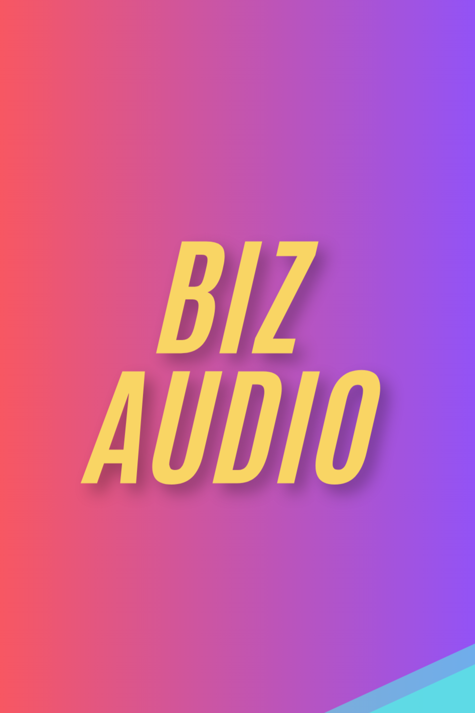 Colorful gradient background with the text 'BIZ AUDIO' in large, yellow, slanted letters.