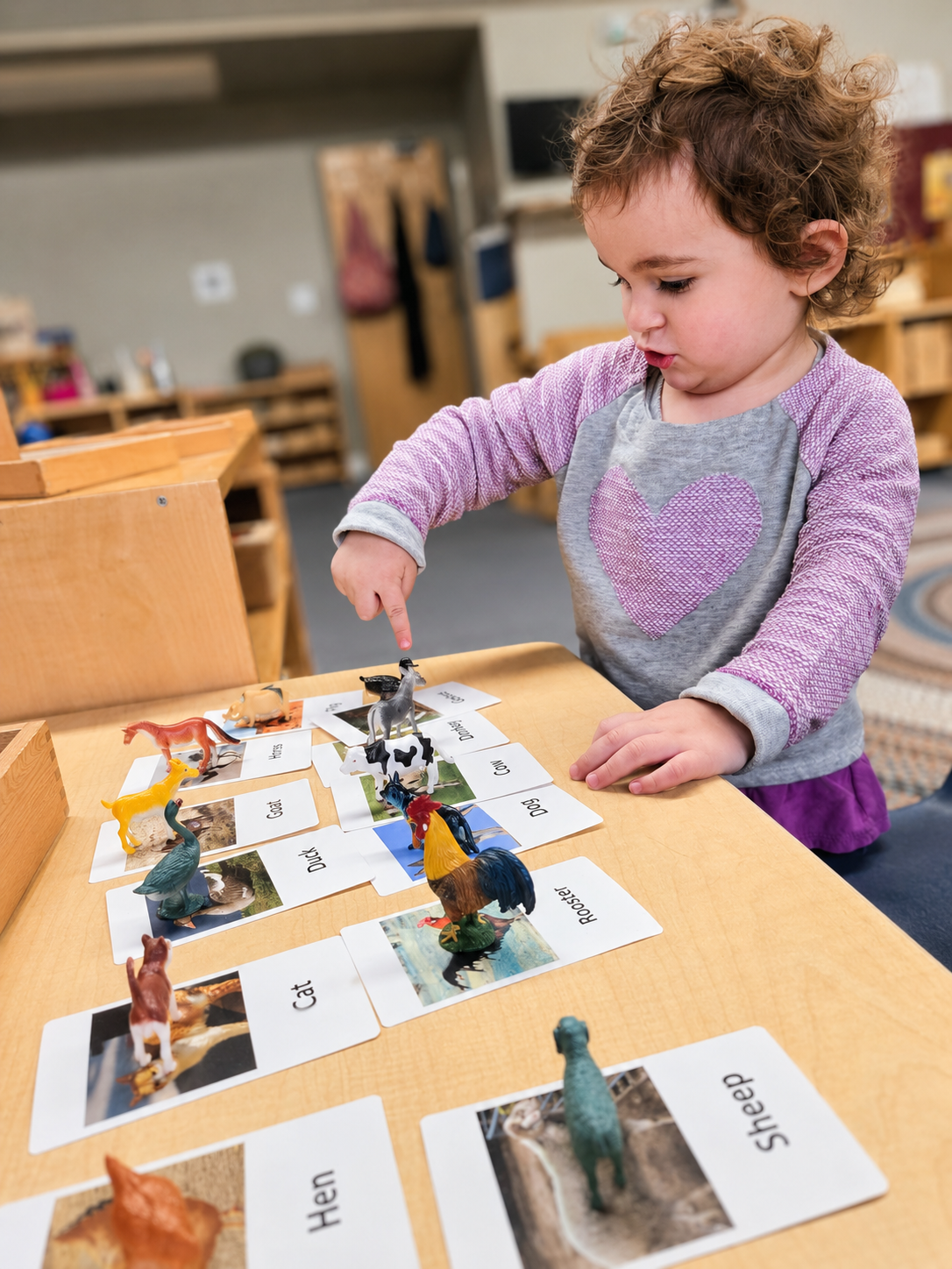 Young girl playing with toy animal figurines and picture cards of animals at a table in a classroom
