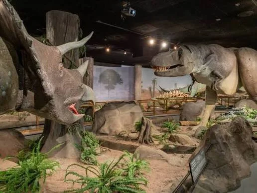 Dinosaur exhibits featuring a Triceratops and a Tyrannosaurus rex at a museum.