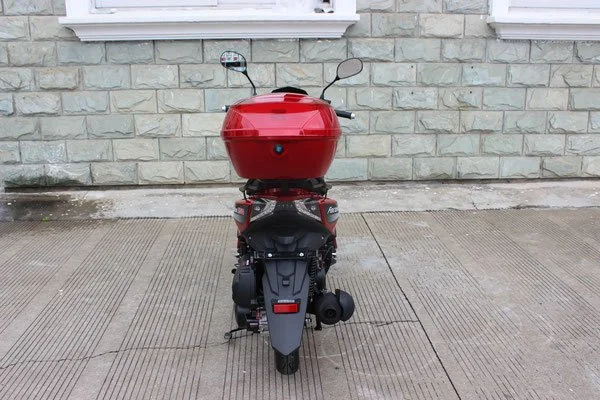 Focus 49cc Scooter Rear.jpg