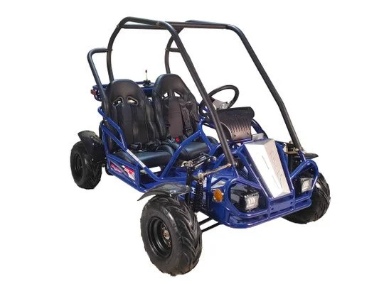 Magnum 125 Auto G0-kart blue.jpg
