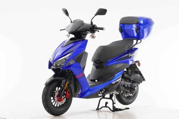 FOCUS 49 BLUE.jpg