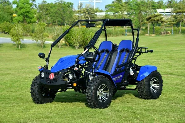 VENTURE 200 EFI GO-KART BLUE.jpg