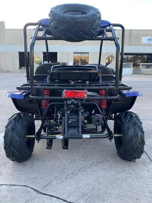 TREX 125 GO-KART REAR VIEW.jpg