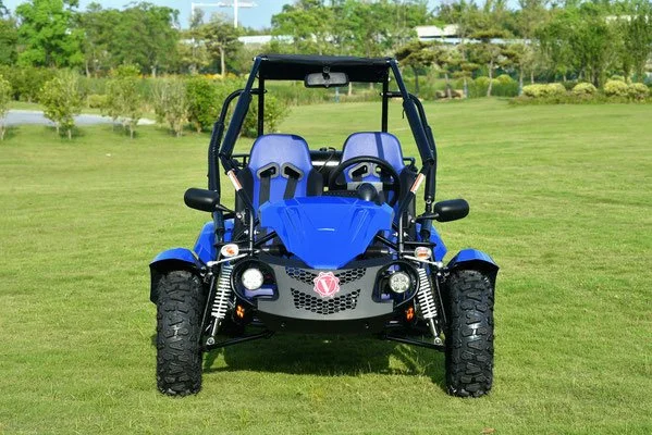 VENTURE 200 EFI GO-KART FRONT VIEW.jpg