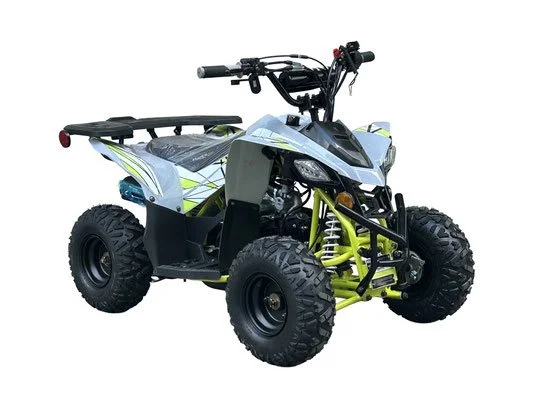 SHRIKE 110 ATV GREY.jpg