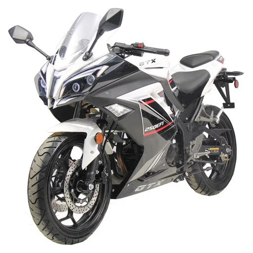 GTX 250 EFI WHITE.jpg