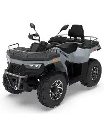 RPS MUSCLE 300 GREY.jpg